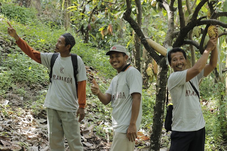 Image of Krakakoa farmers