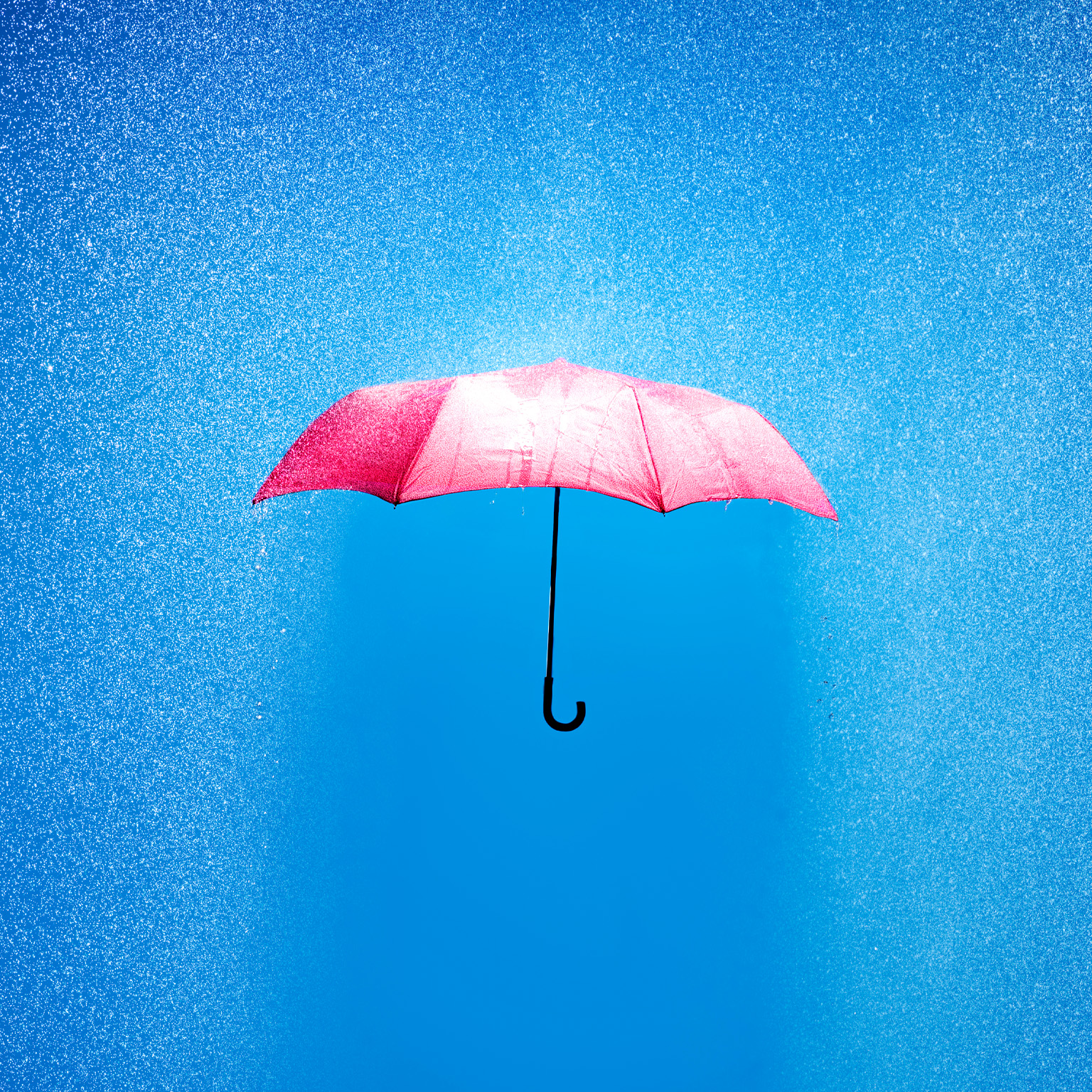 pink umbrella in a rain shower
