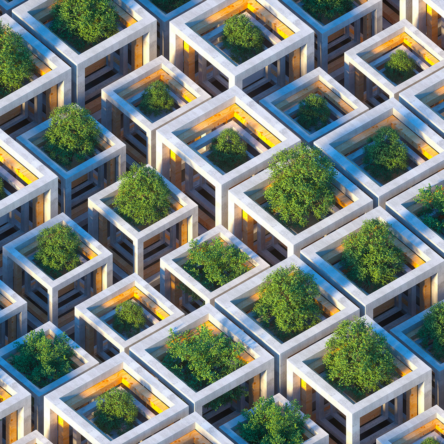 Digital generated image of futuristic sustainable cubic shapes made out of concrete and wood with growing trees inside each cube. Sustainability concept. - stock photo