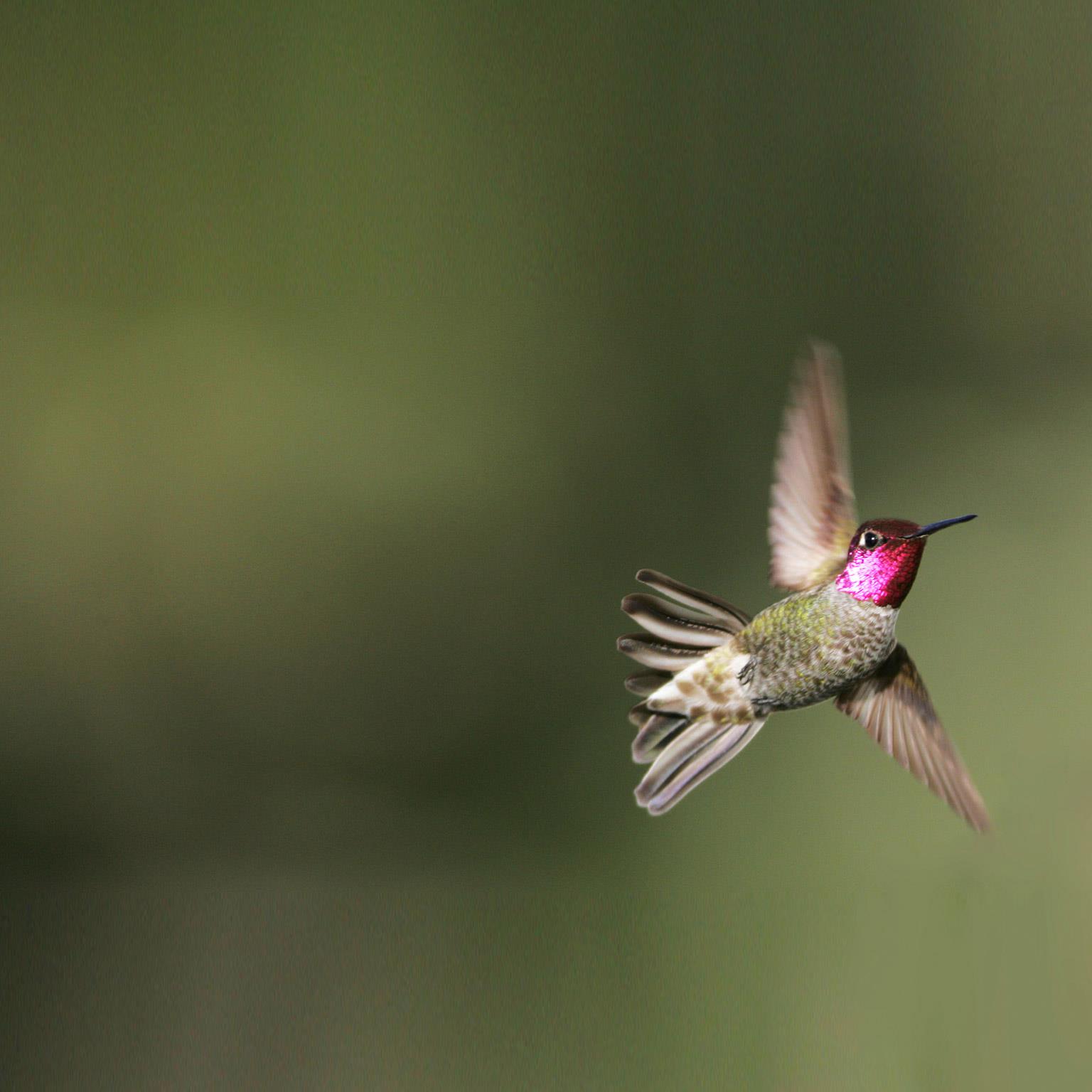 Agile-marketing-1536x1536_Standard