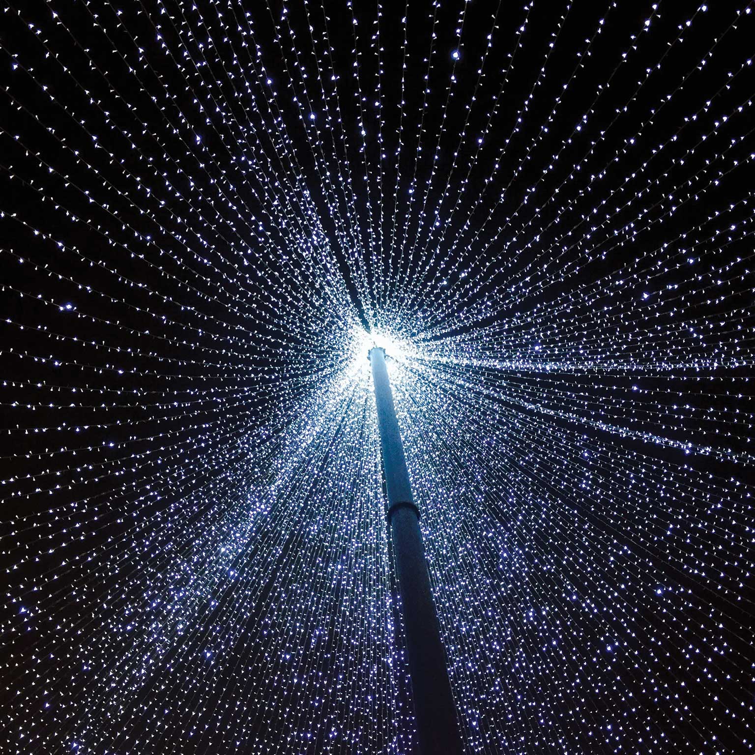 Prediction: The future of CX