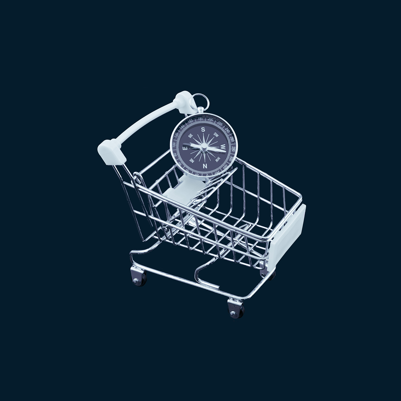 The survival guide to omnichannel and the path to value