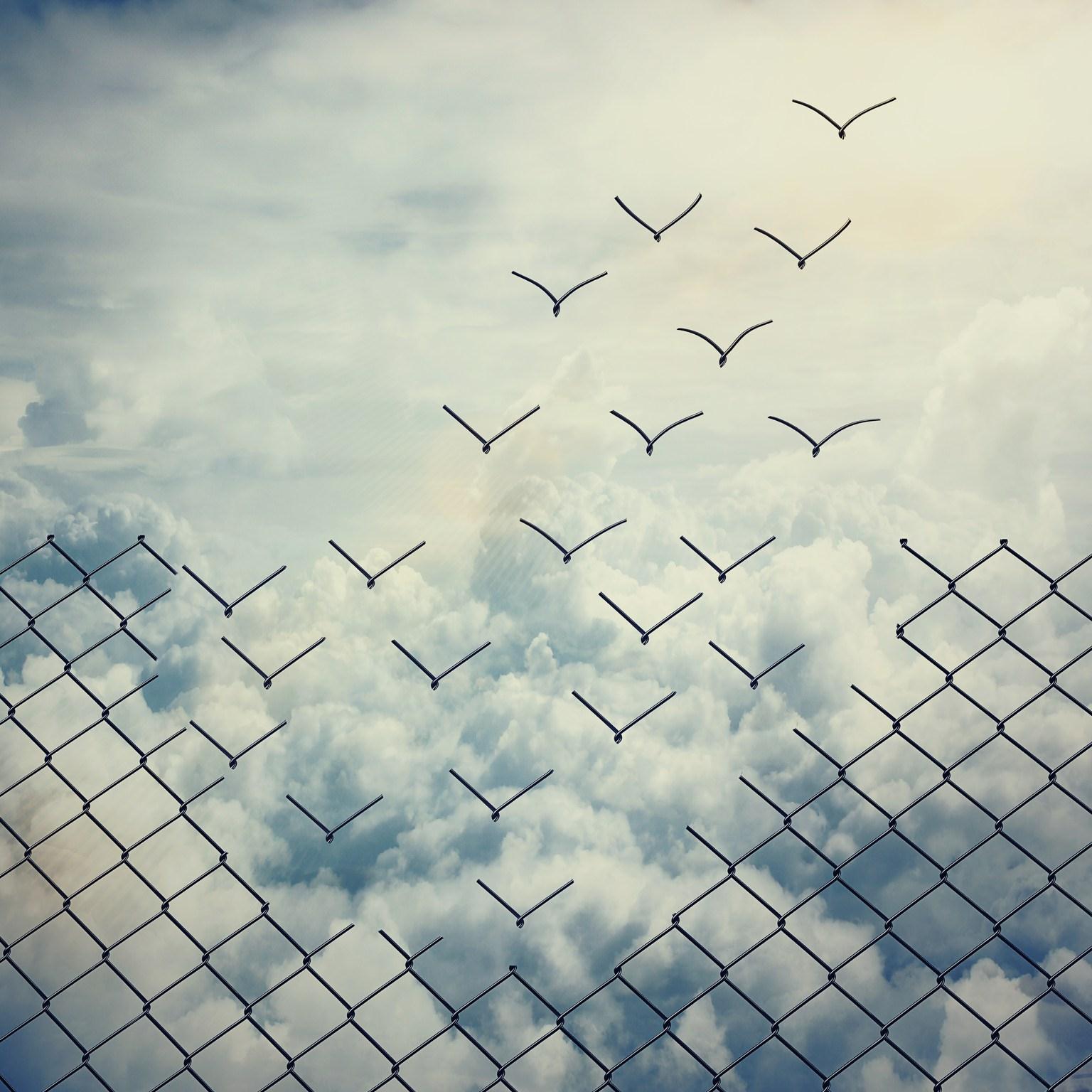 IandP_MoBT_39_Beyond agile_1536x1536_Original