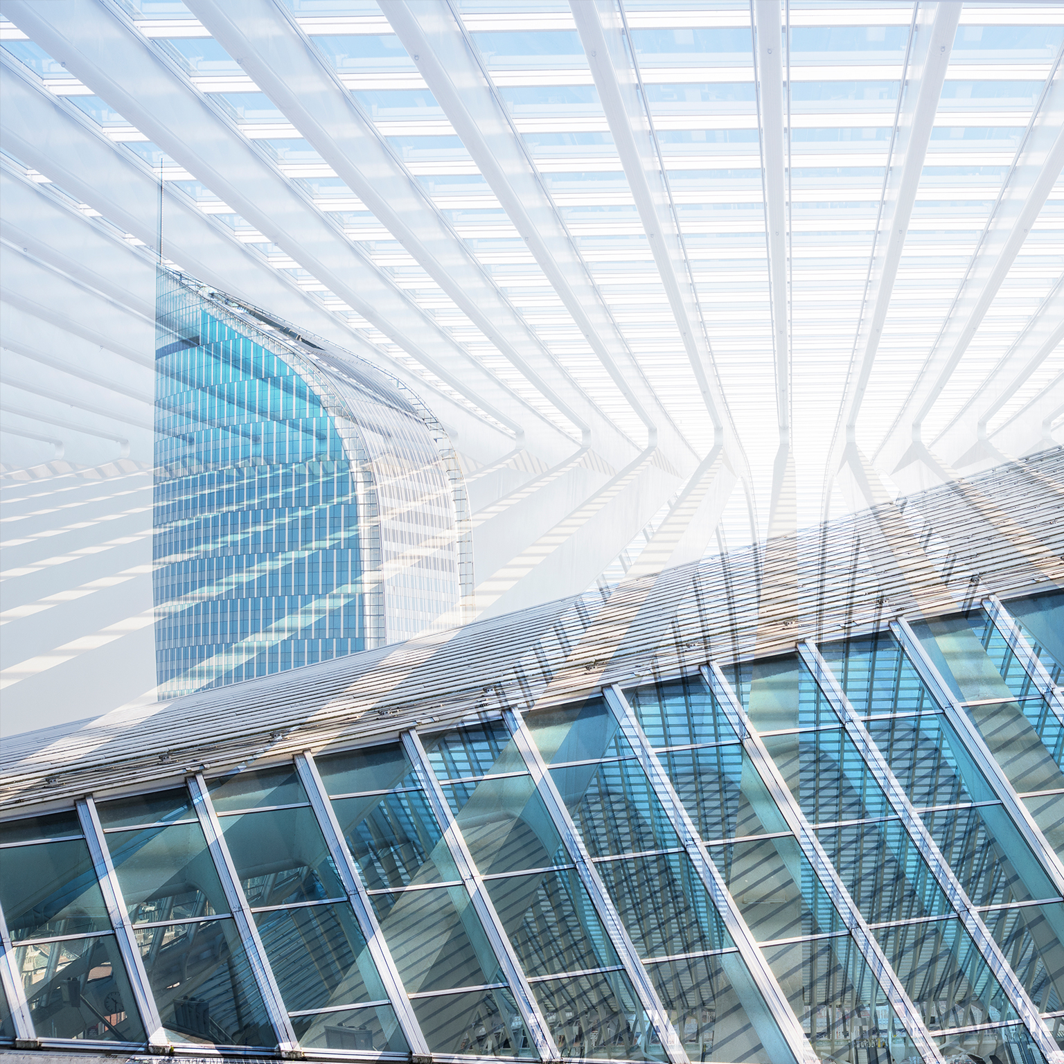 Belgian companies lead their peers in digital (but not by much)