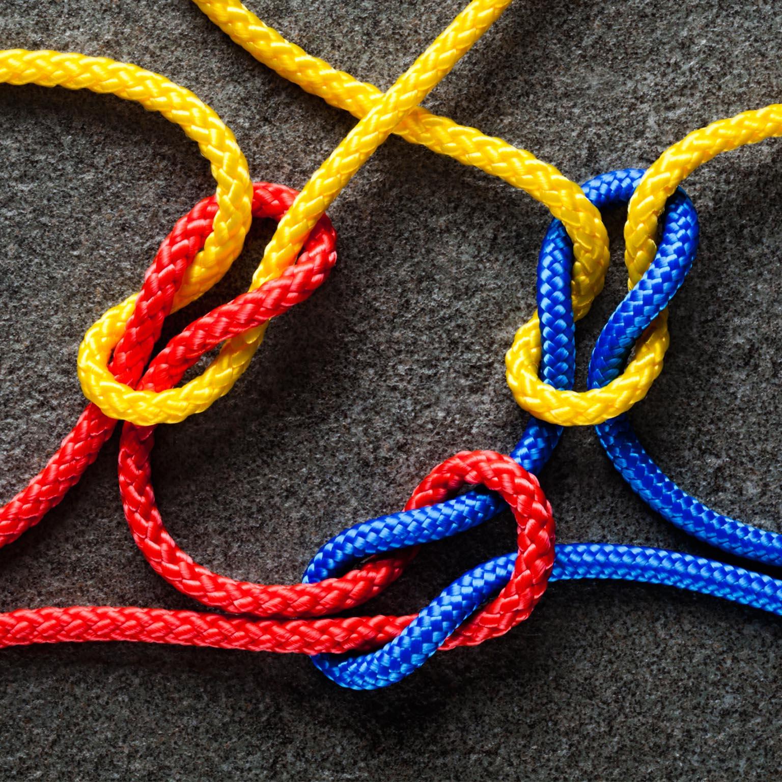 New order for law_1536x1536_Original