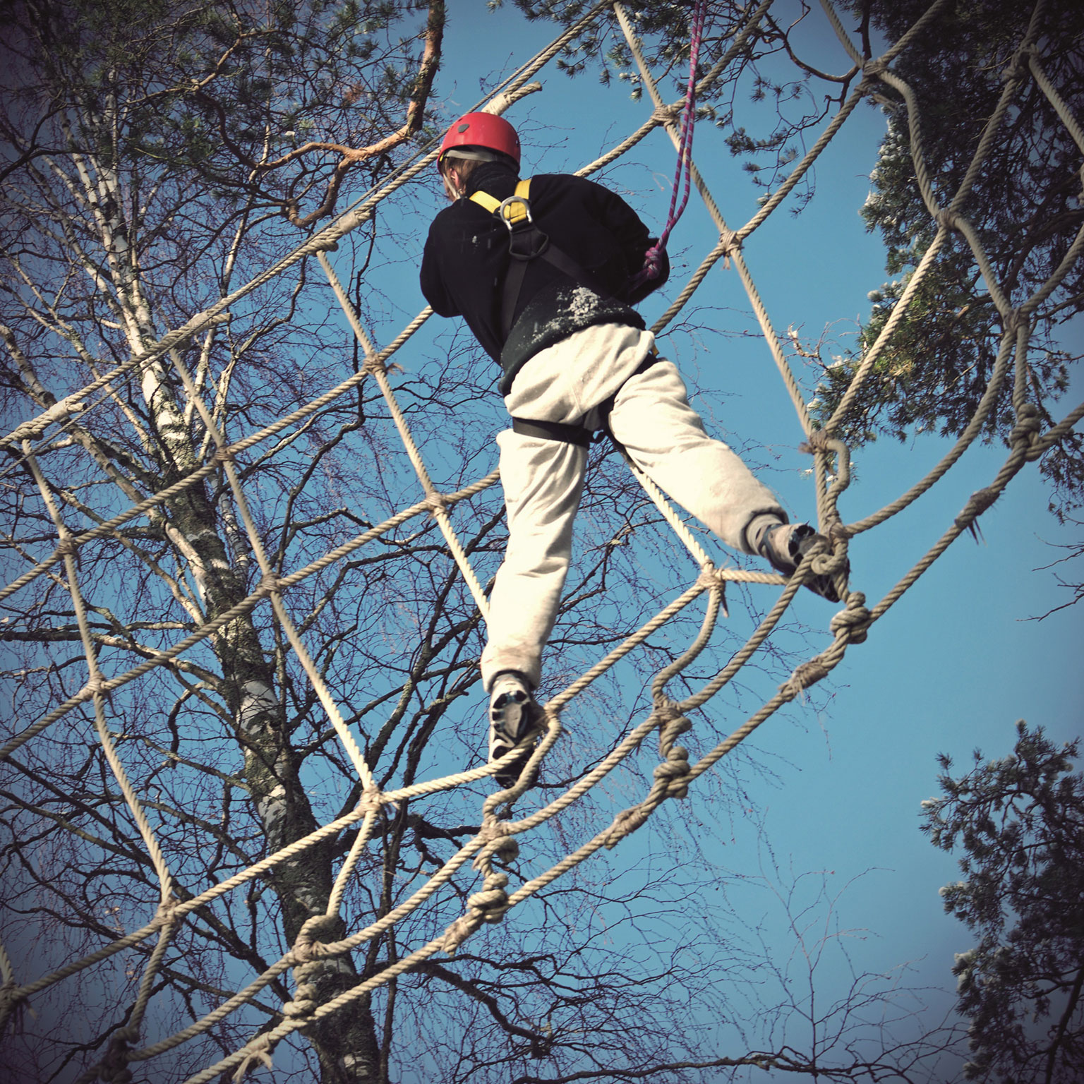 Image_20150723_low_cost_high_stakes_opp_comp_000004668628