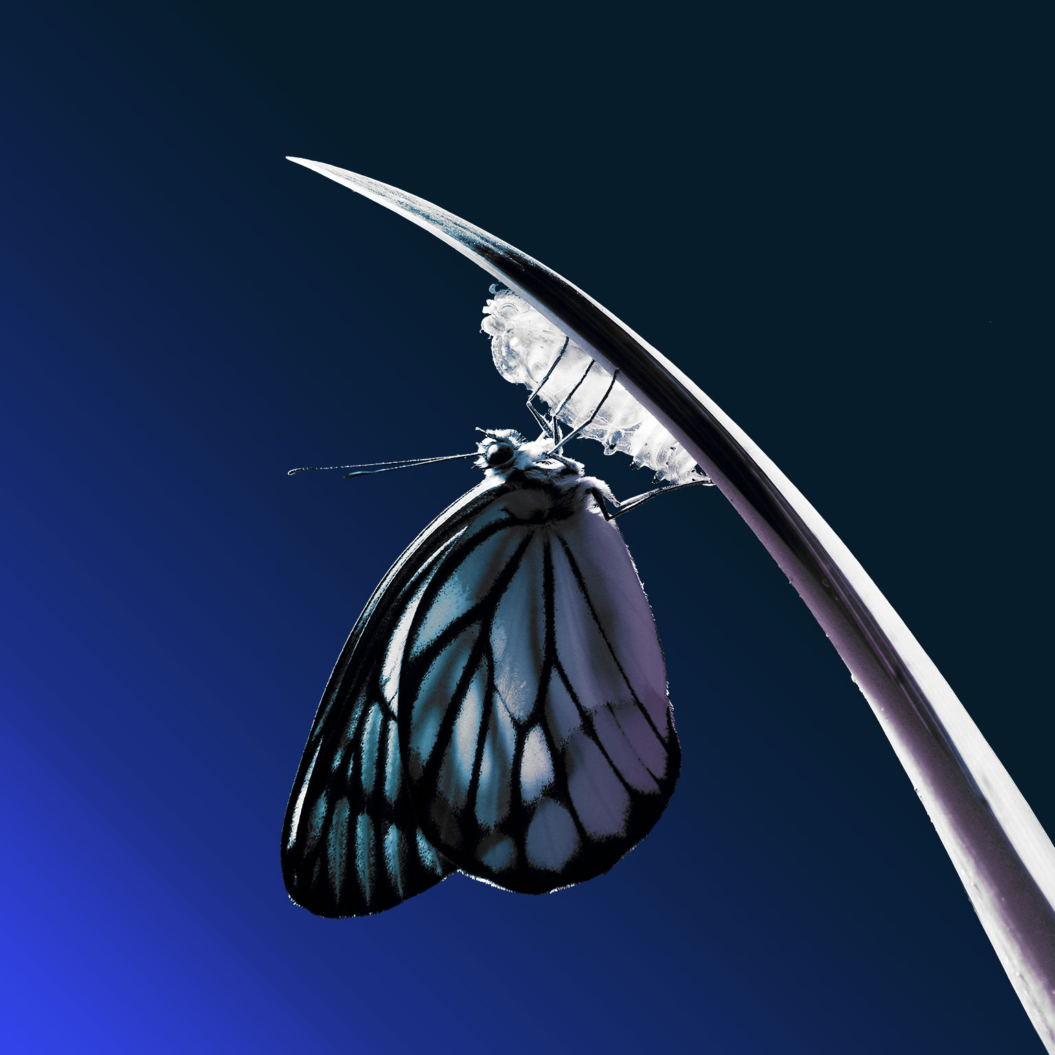 A better way to lead large-scale change