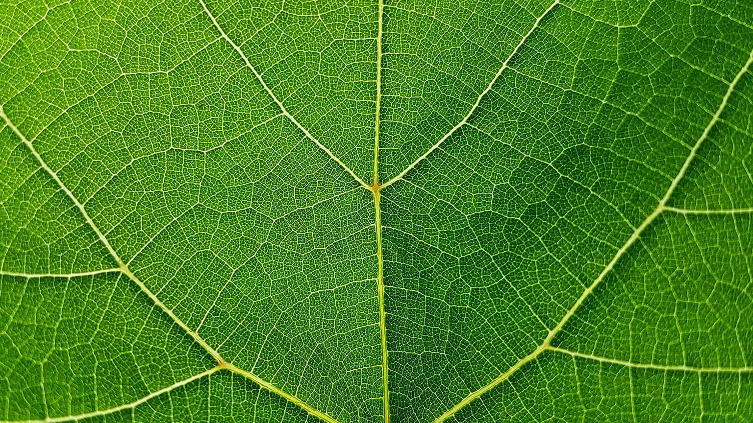 Six “power practices” to retain nonprofit talent