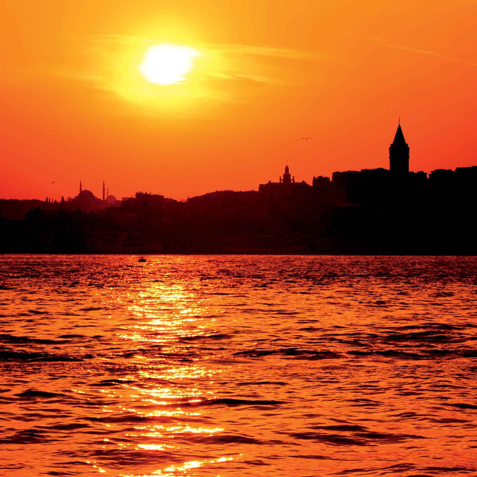 Lessons-from-the-diwaniya_1536x1536_Original