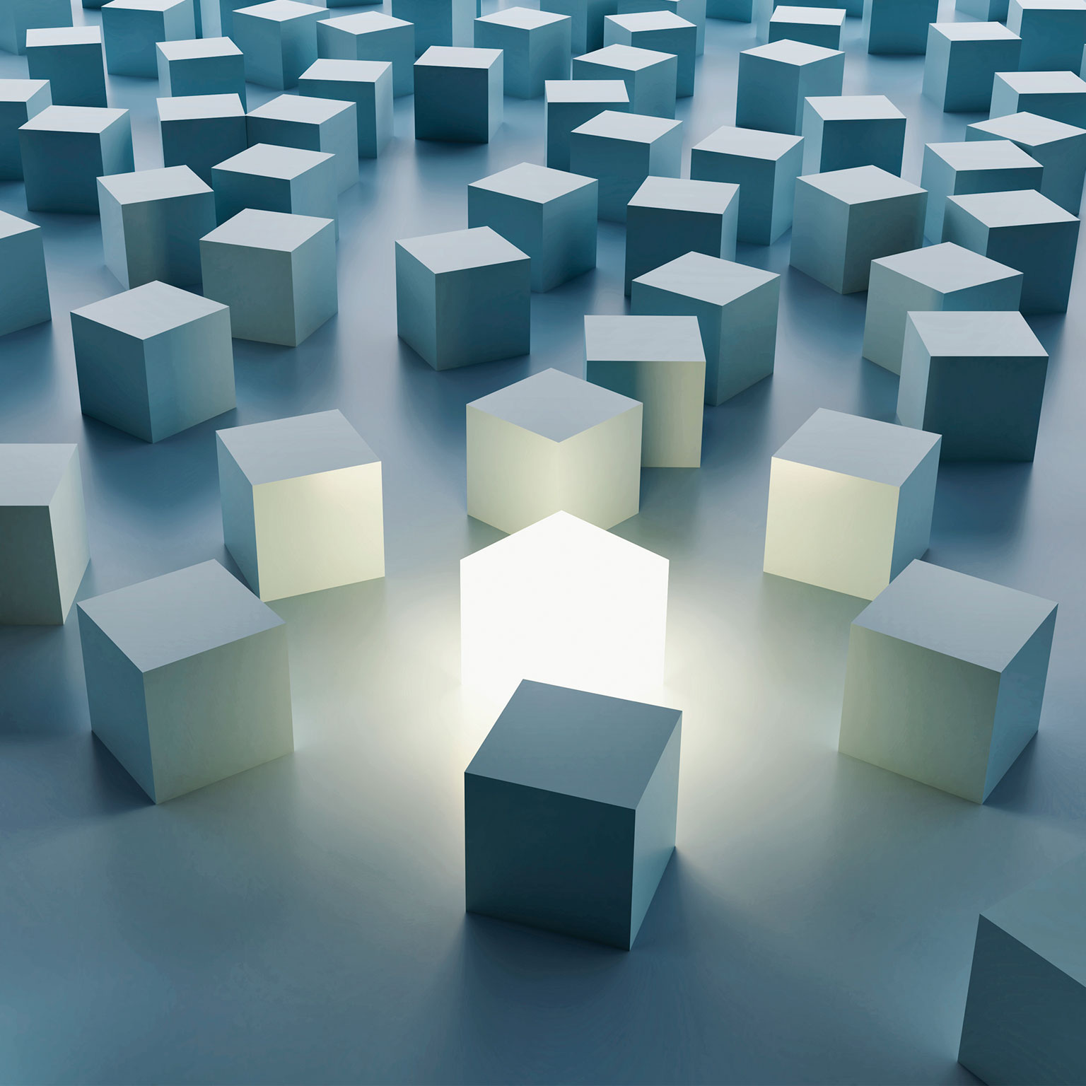 The impact of agility: How to shape your organization to compete