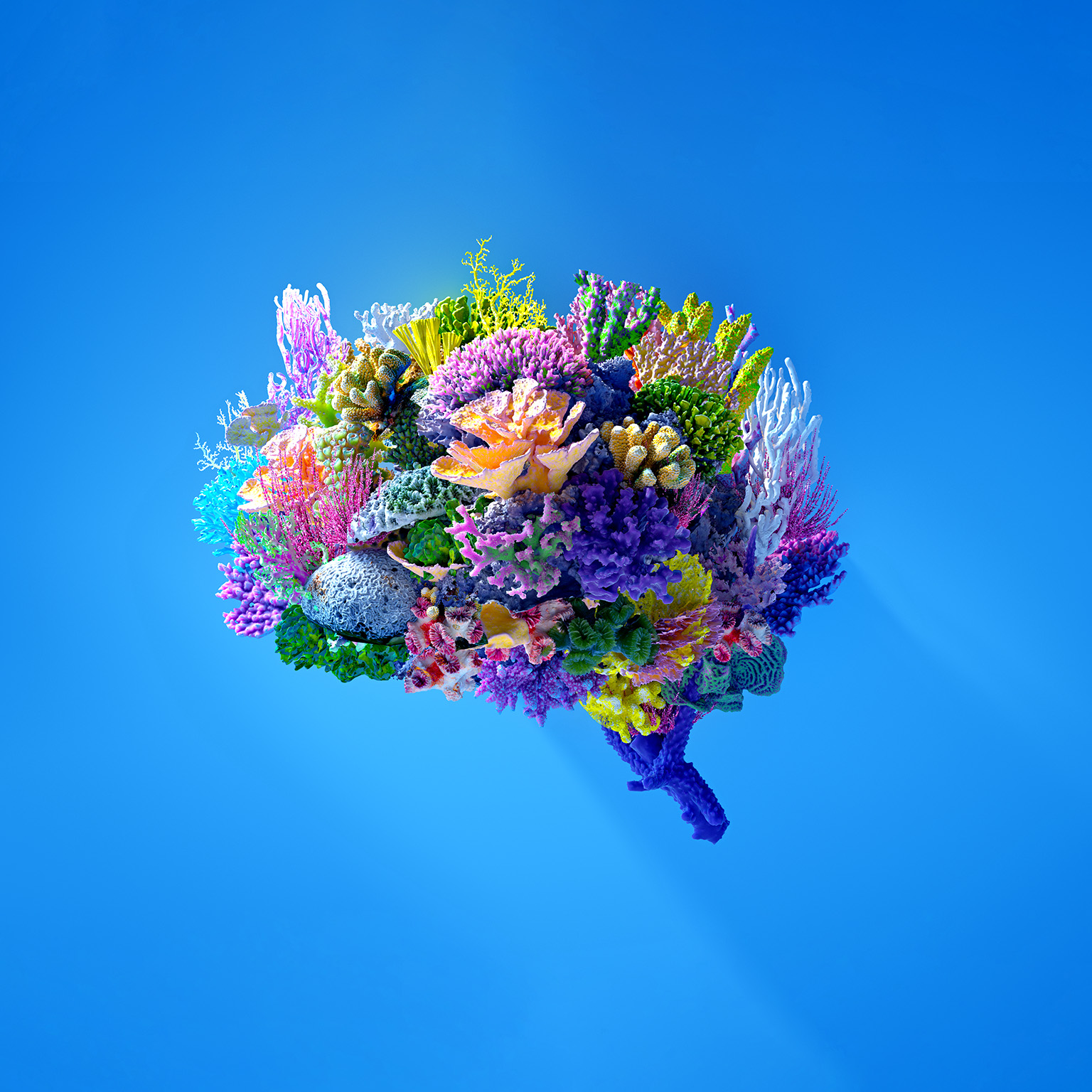 A vibrantly colored 3D image of various types of coral in the shape of a brain.