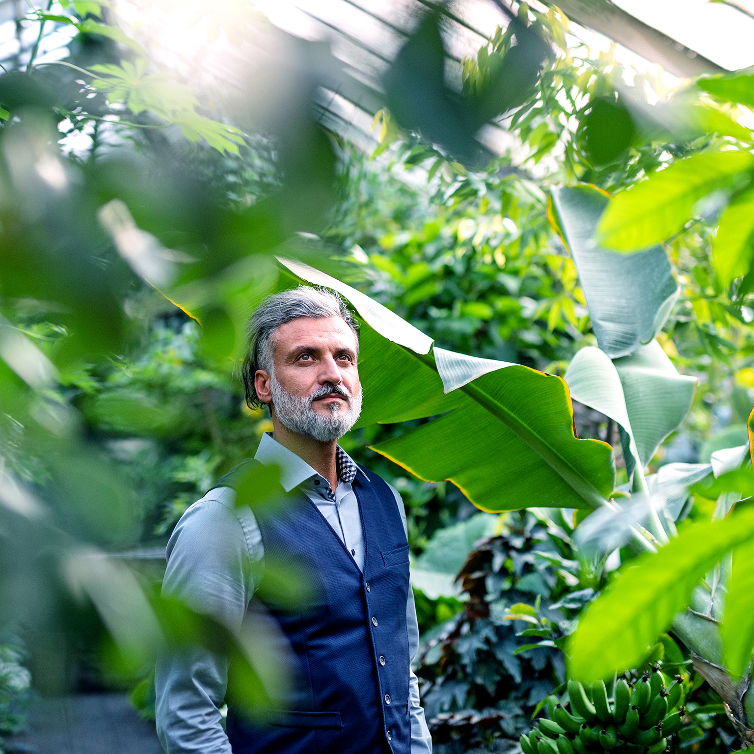 A portrait of mature man relaxing in greenhouse, green business concept