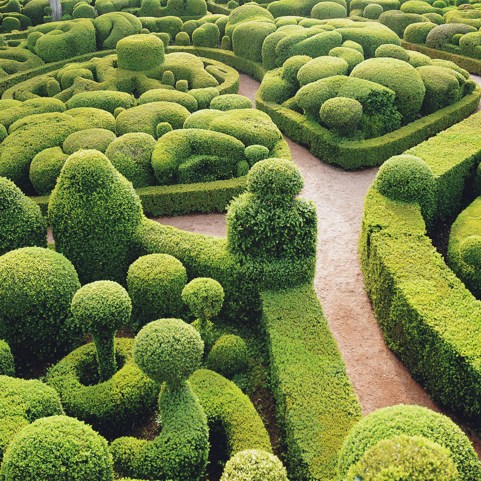 How to avoid losses and prune projects proactively