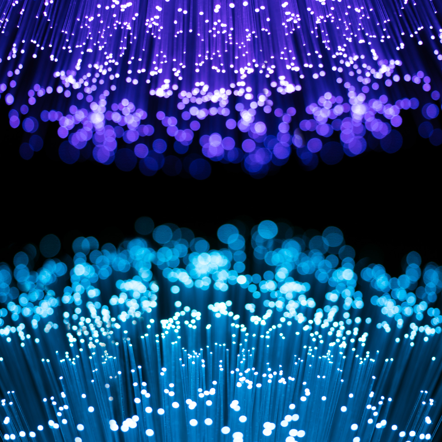 McKinsey Global Economics Intelligence