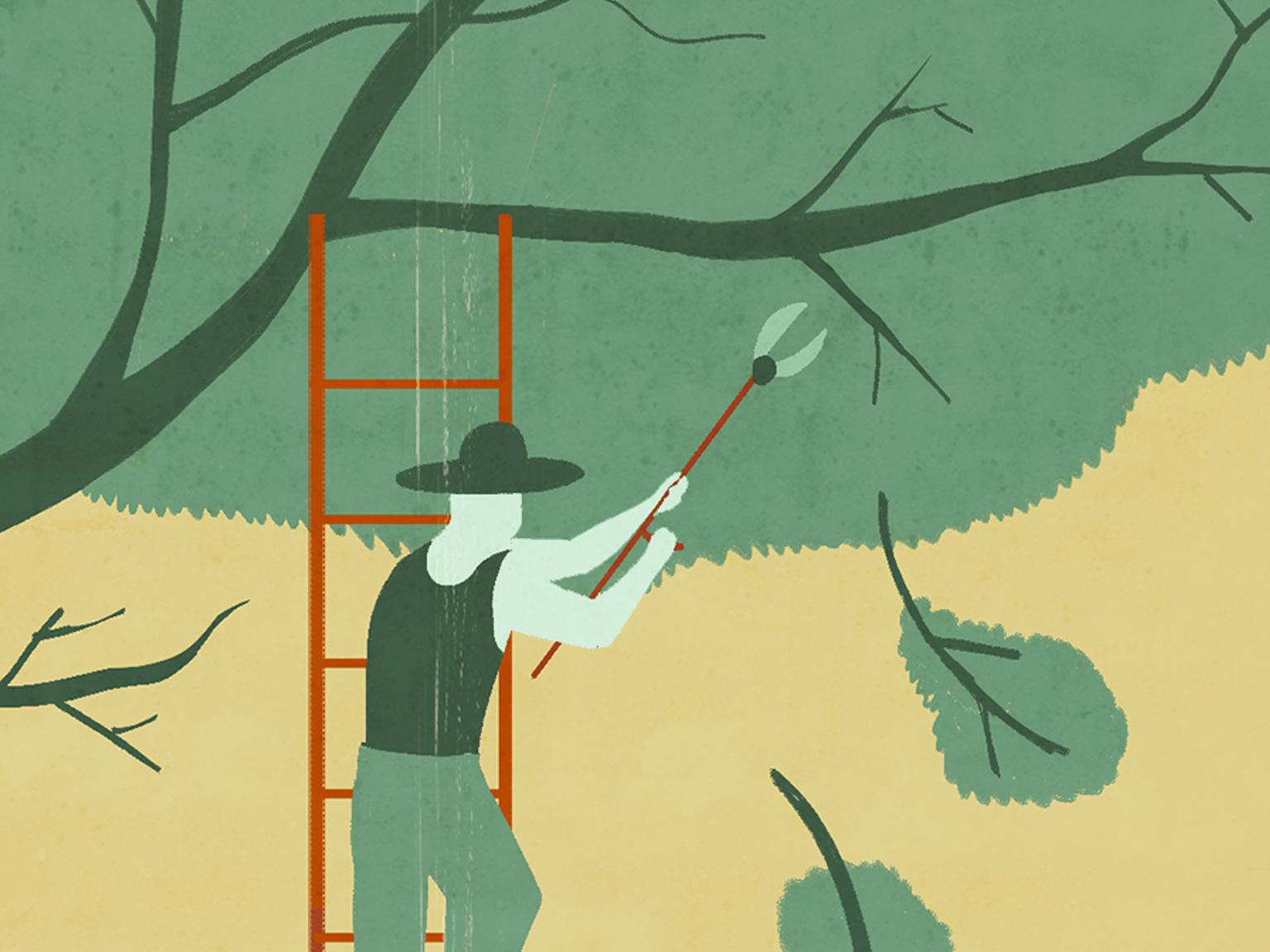 prpa13_1536x1152_Original