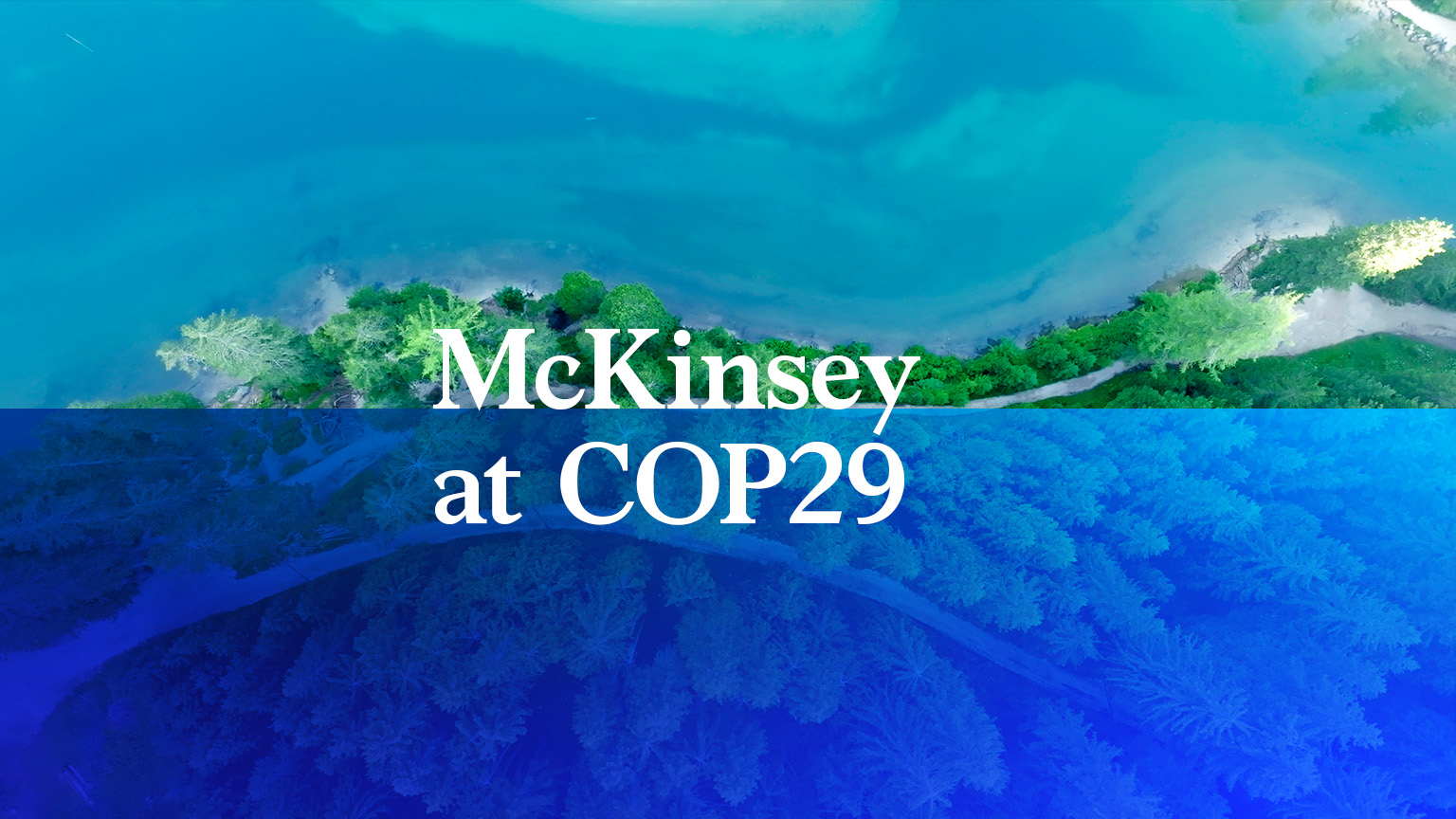 COP29 promo image