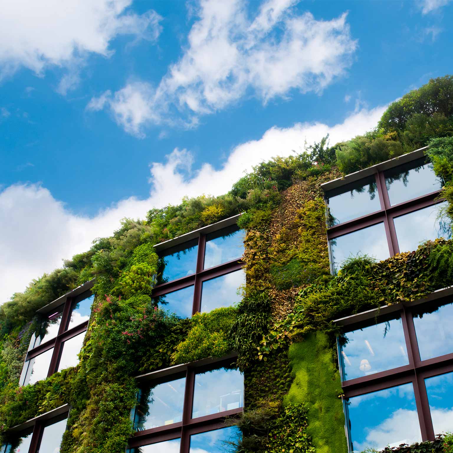 Sustainability & Resource Productivity