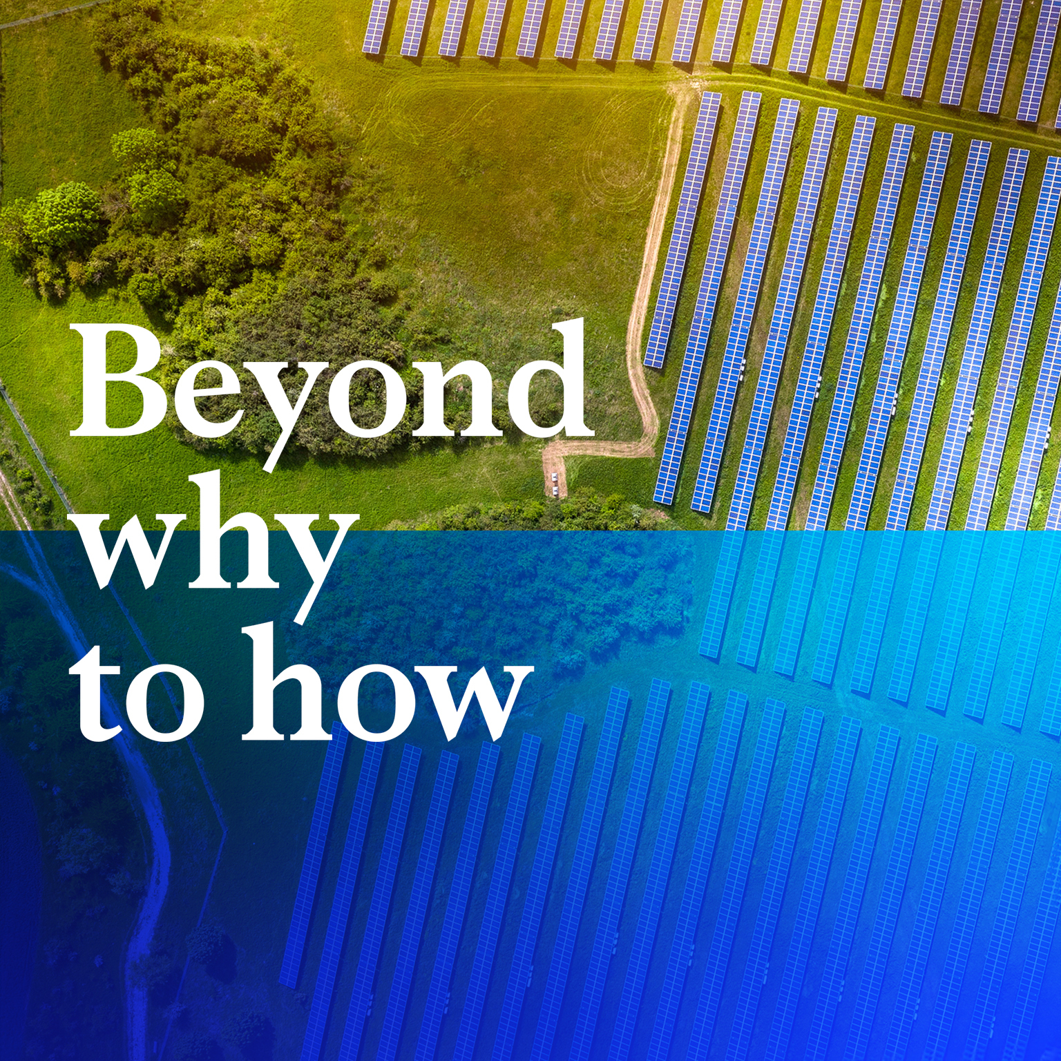 Move from plans to progress.