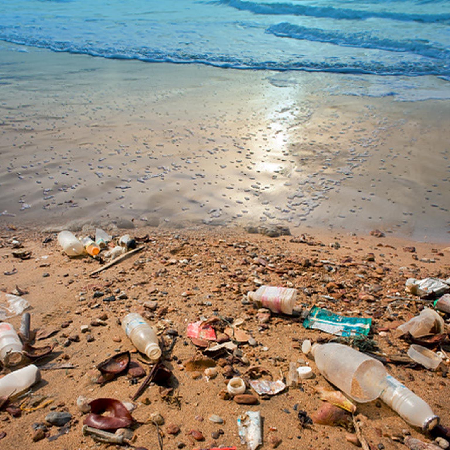 IandP_Saving-the-ocean-from-plastic-waste_1536x1536_Original