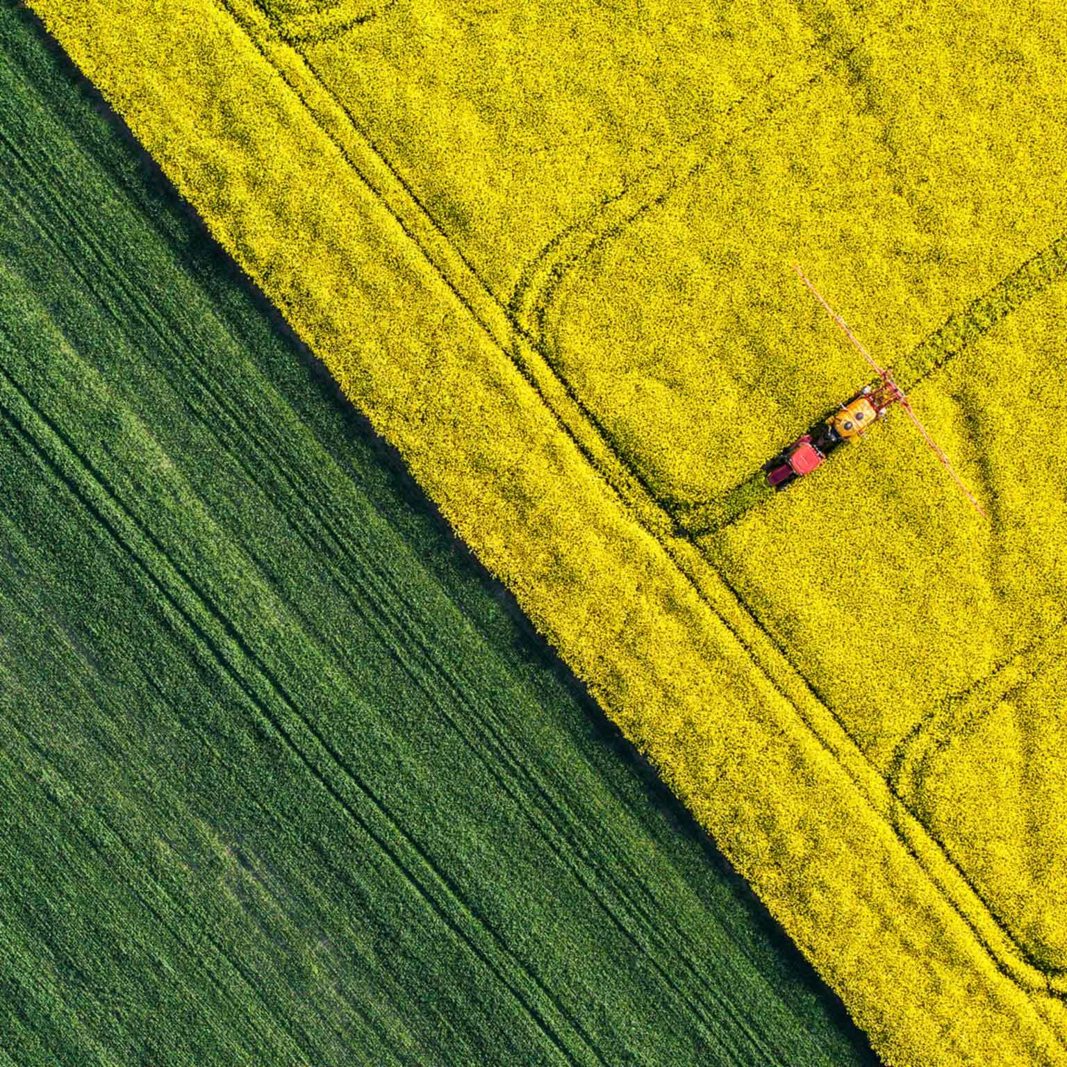 Supply-chains-thumbnail-1536x1536-200_Standard