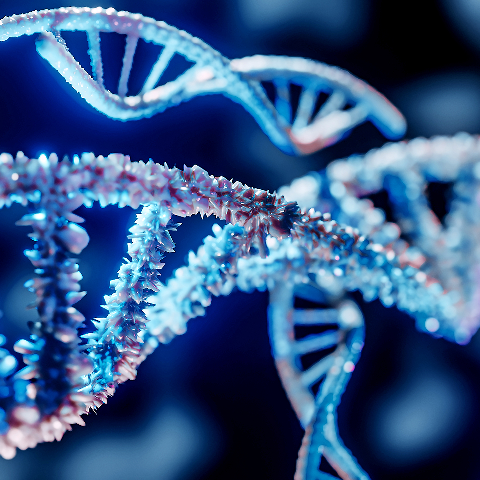 DNA helix