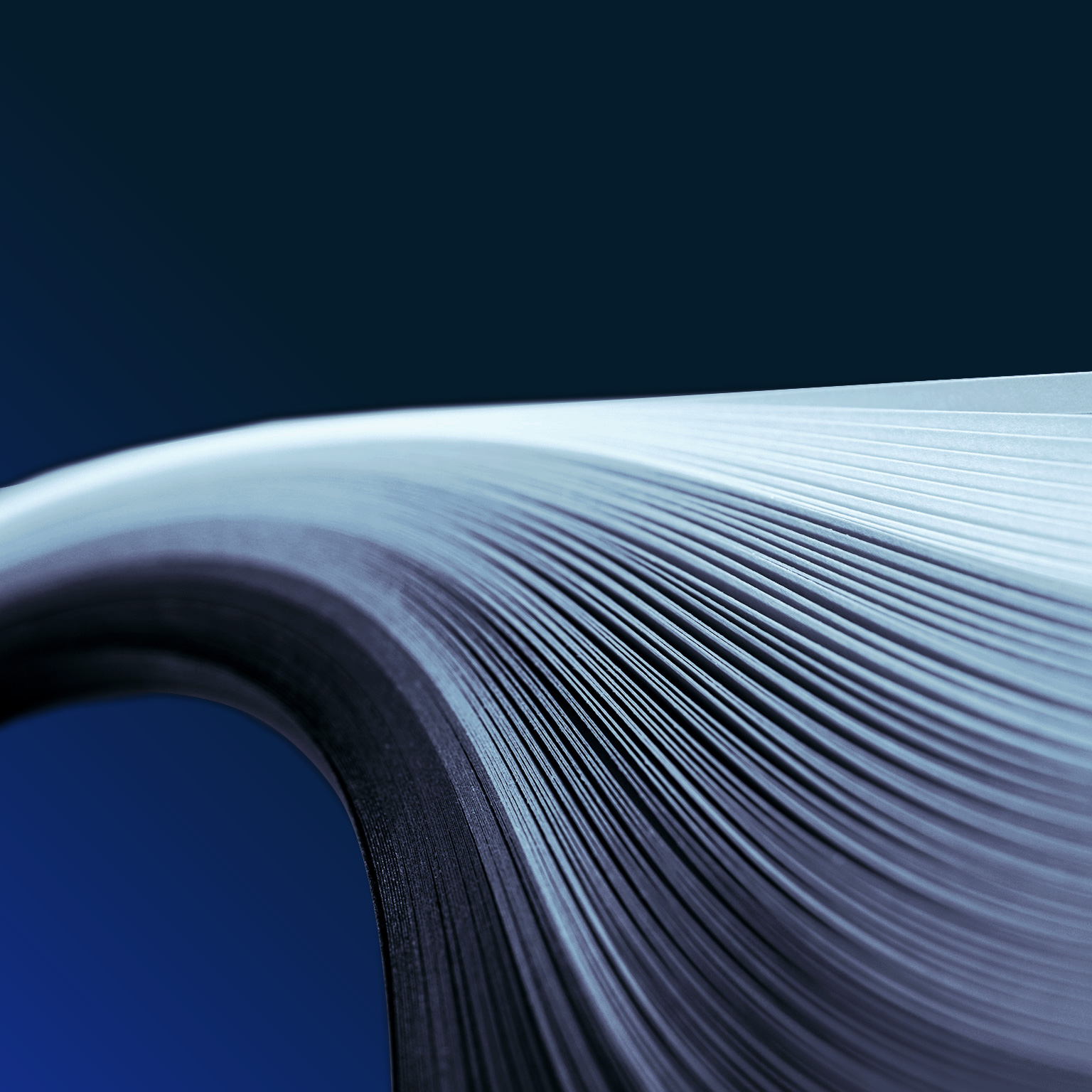 A primer in resilience: Maximizing value beyond earnings