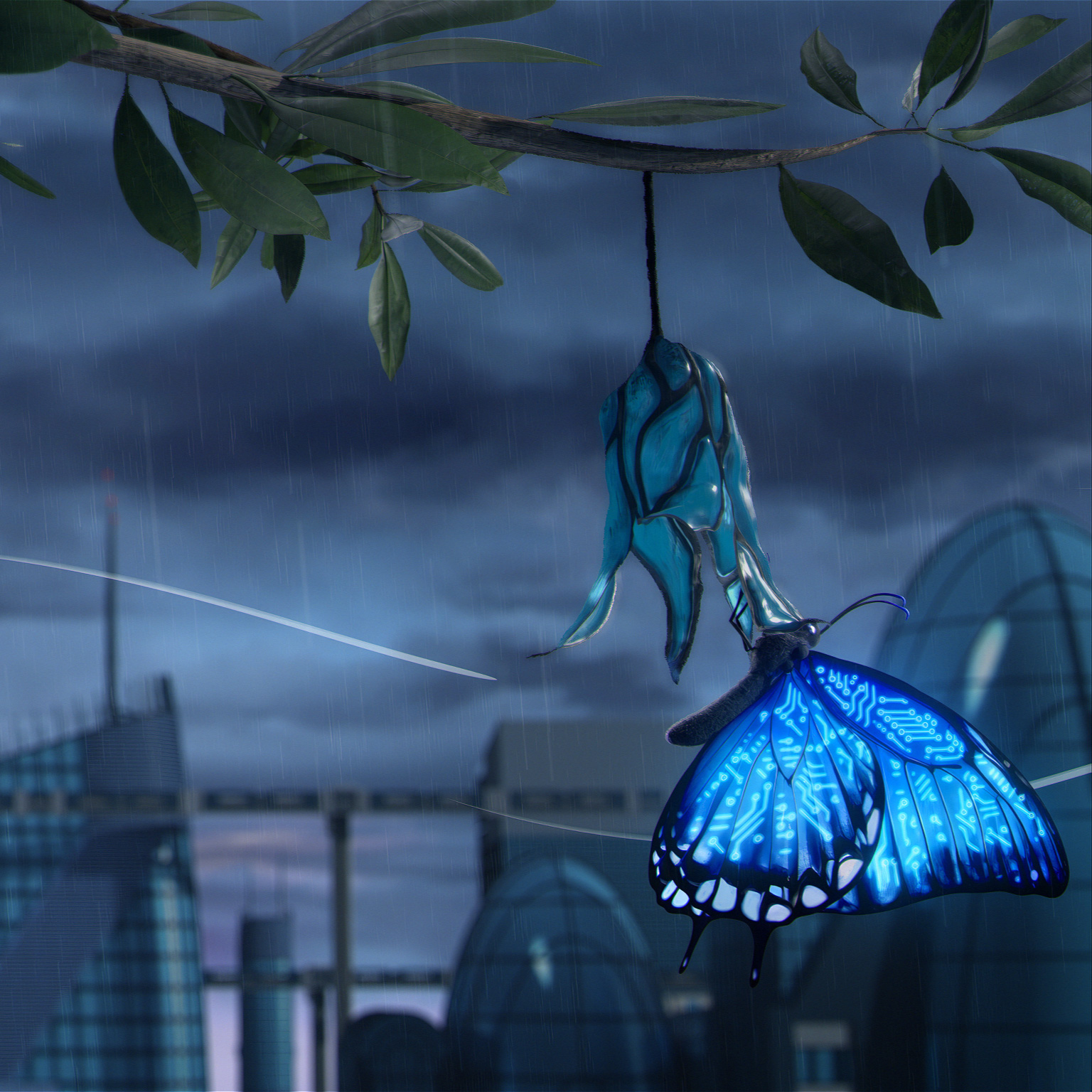 Digital image of butterfly coming out of a cocoon