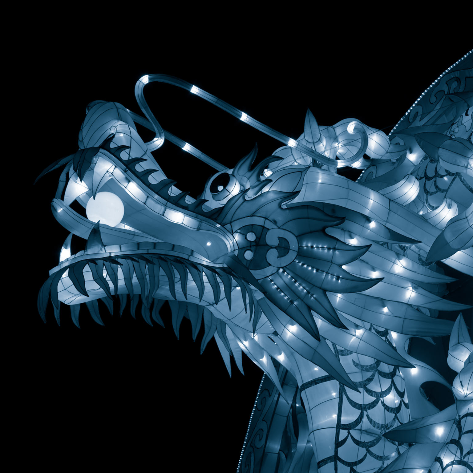 The CEO guide to China’s future