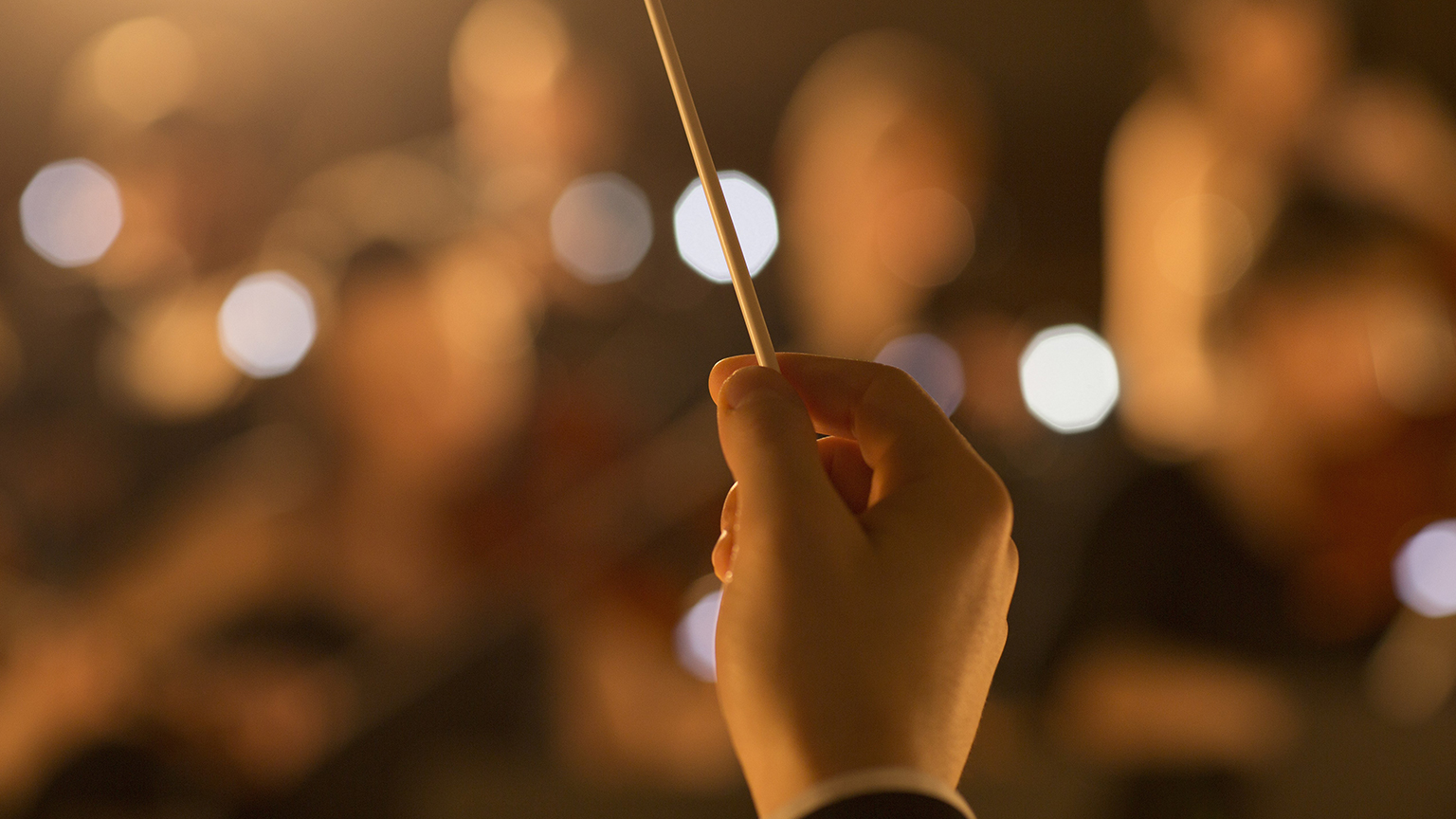 The board perspective