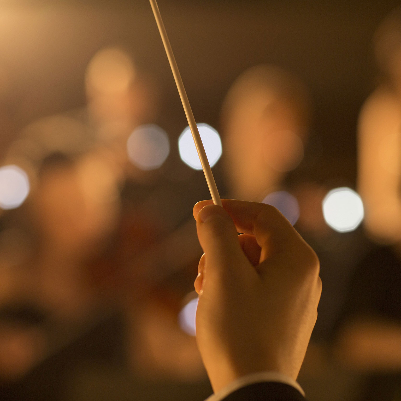 The board perspective