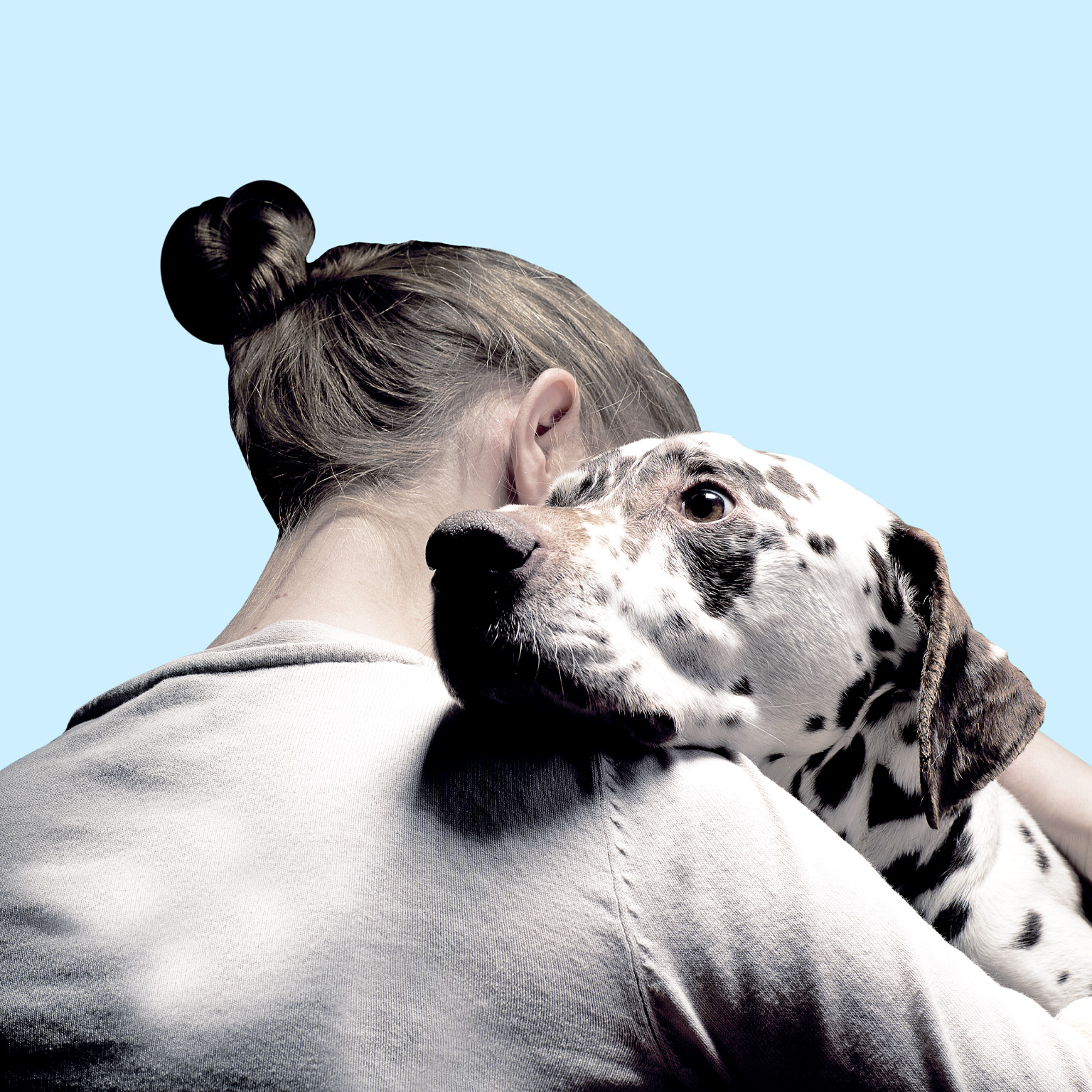 A close up of a woman embracing a Dalmatian. The woman is facing away from the camera with the endearing expression and kind eyes of the Dalmatian facing forward.