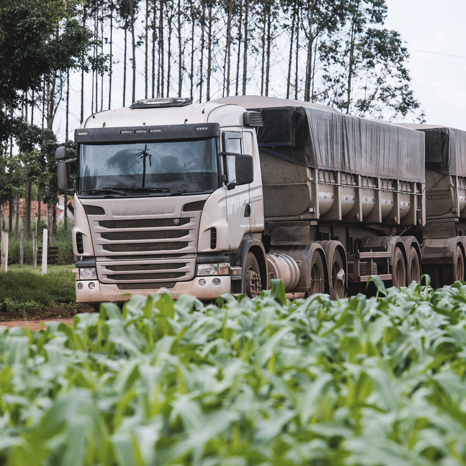Truck next to a soy plantation