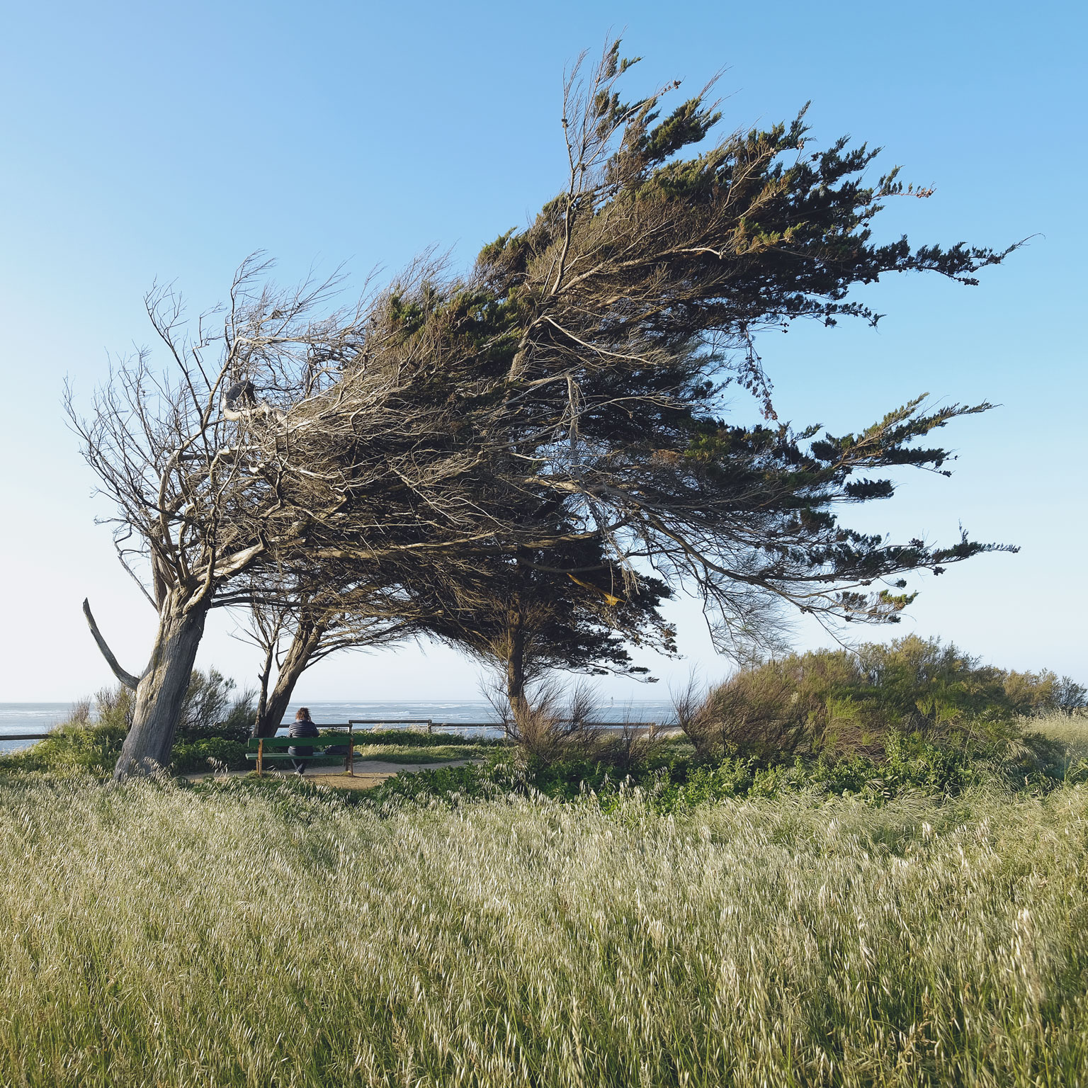 Resilience in chemicals: How to prepare for the next downturn