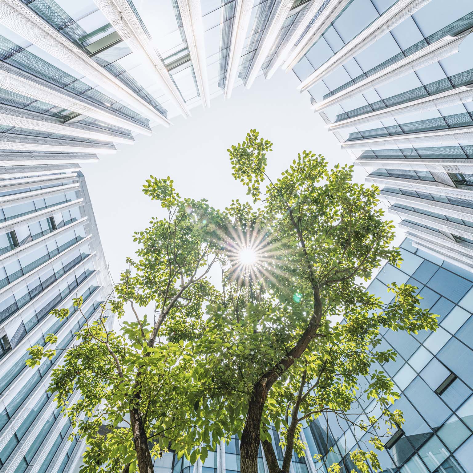 Call for action: Seizing the decarbonization opportunity in construction