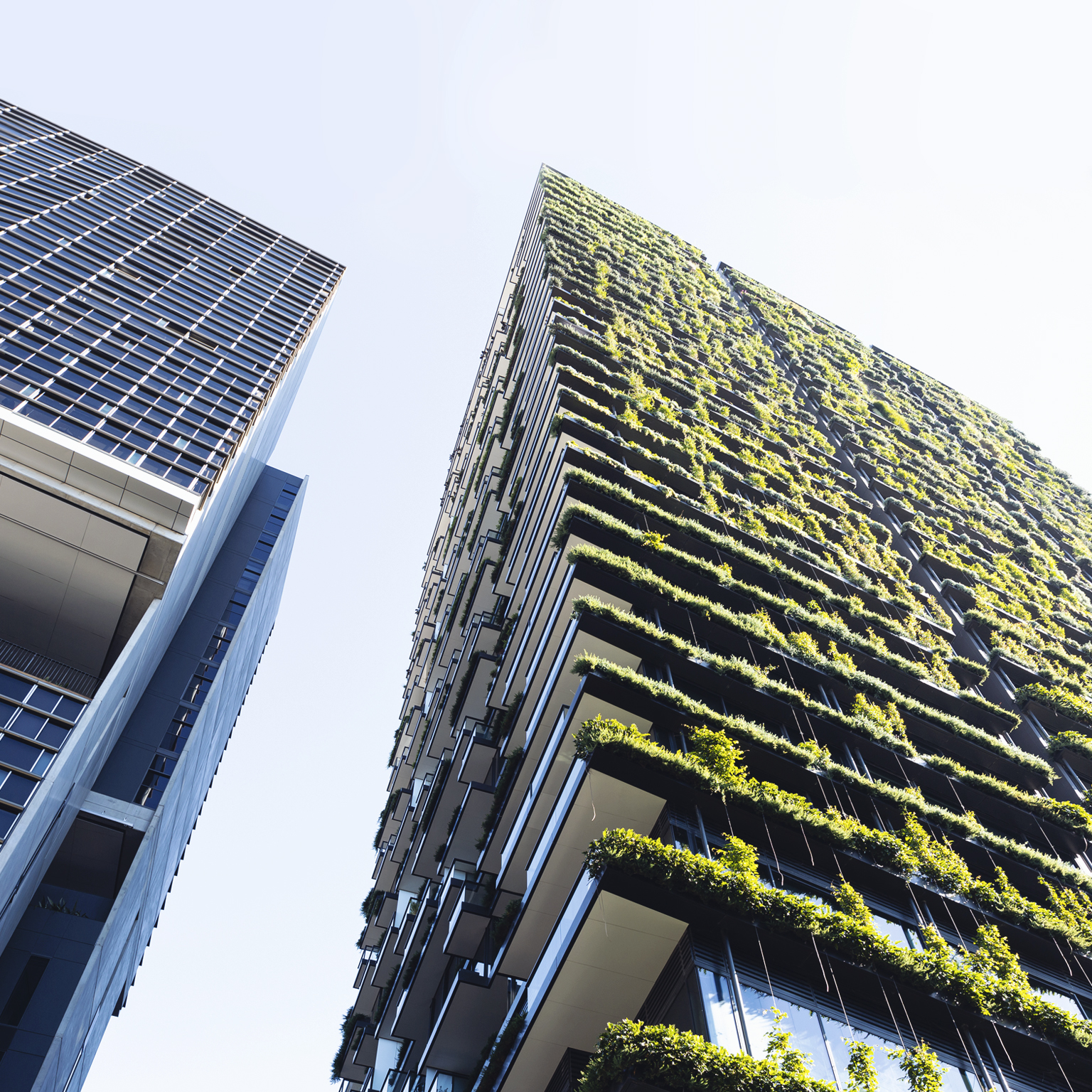 Low angle view of apartment building with vertical garden
