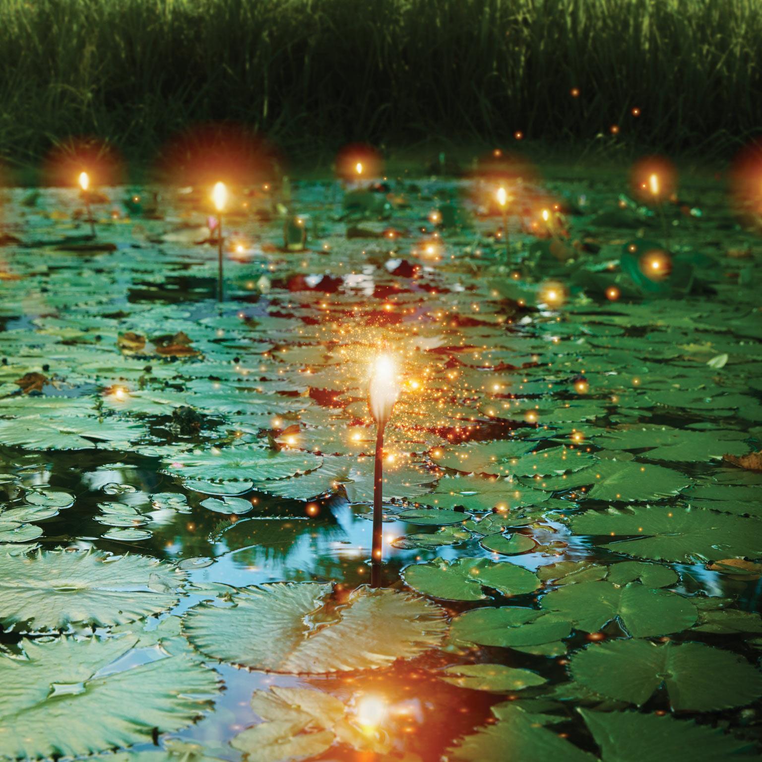 Insights-DM-Facing-digital-reality-1536x1536-400_Standard