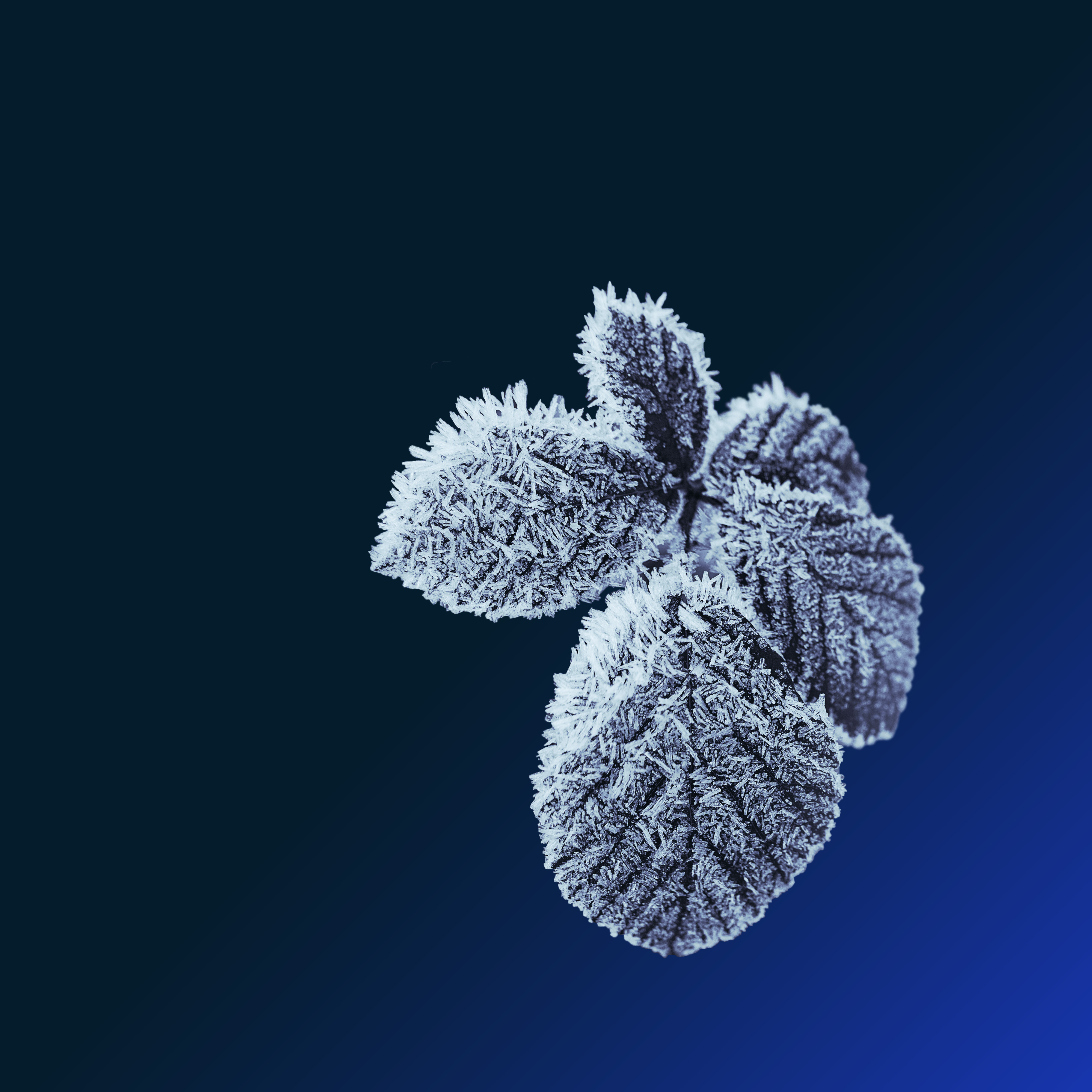 A test of resilience: McKinsey Global Banking Annual Review 2020