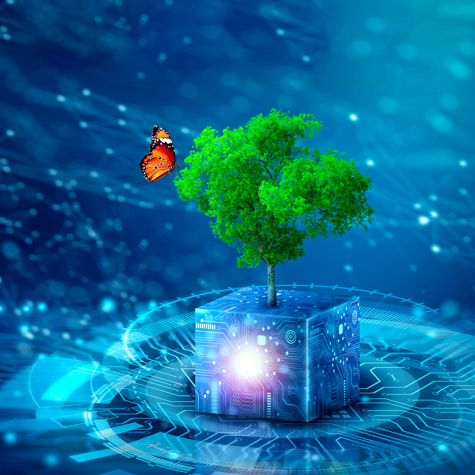 A conceptual 3D image of a butterfly landing on a tree that is growing on a digital cube covered in circuitry.
