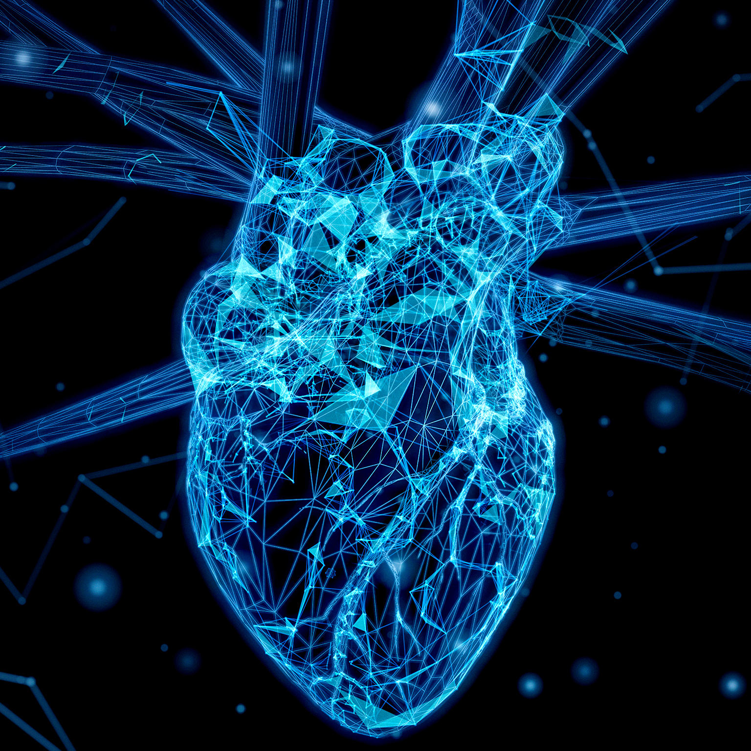 Abstract plexus heart on a black background.