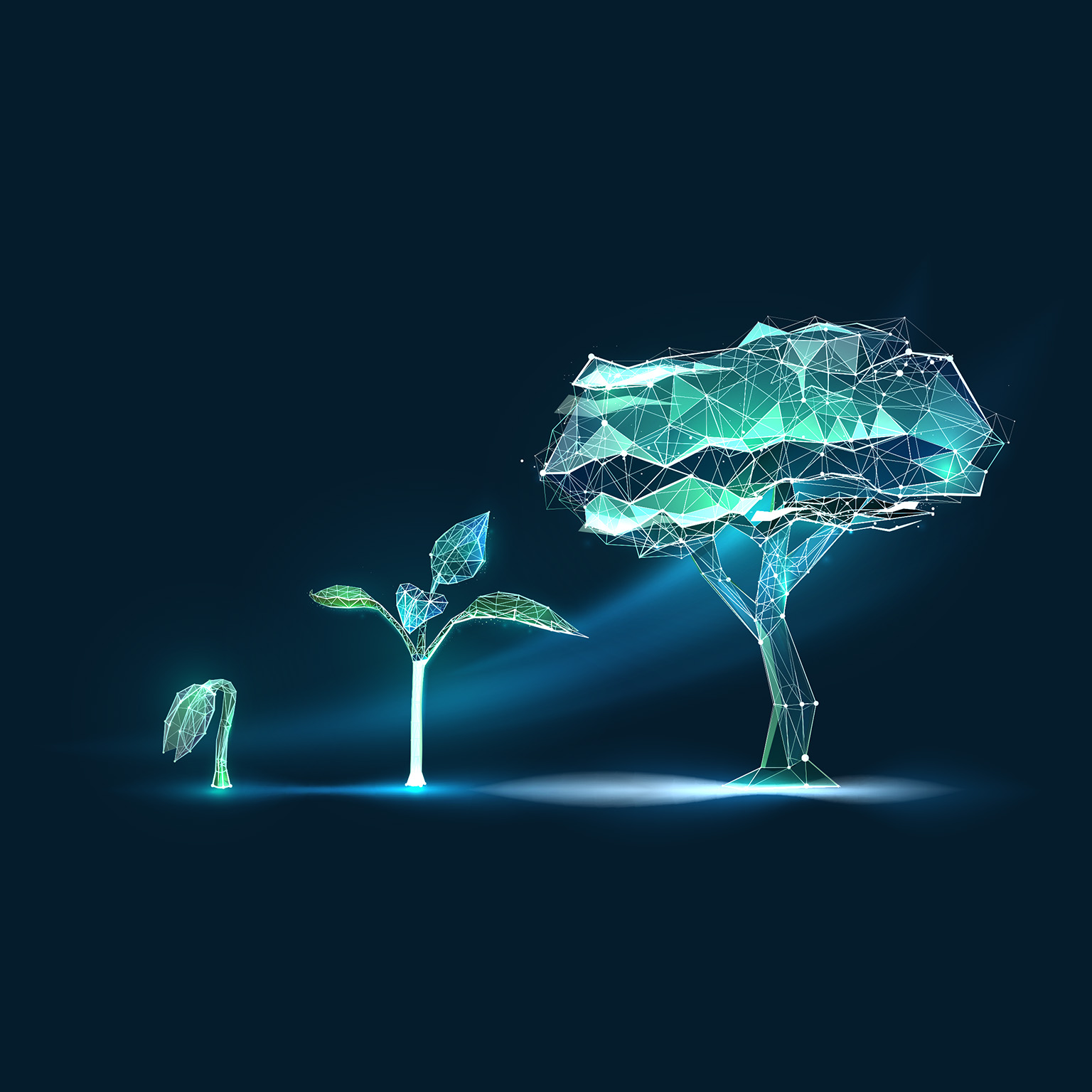 Digital polygon-style image of the evolution of a seedling growing into a mature tree.