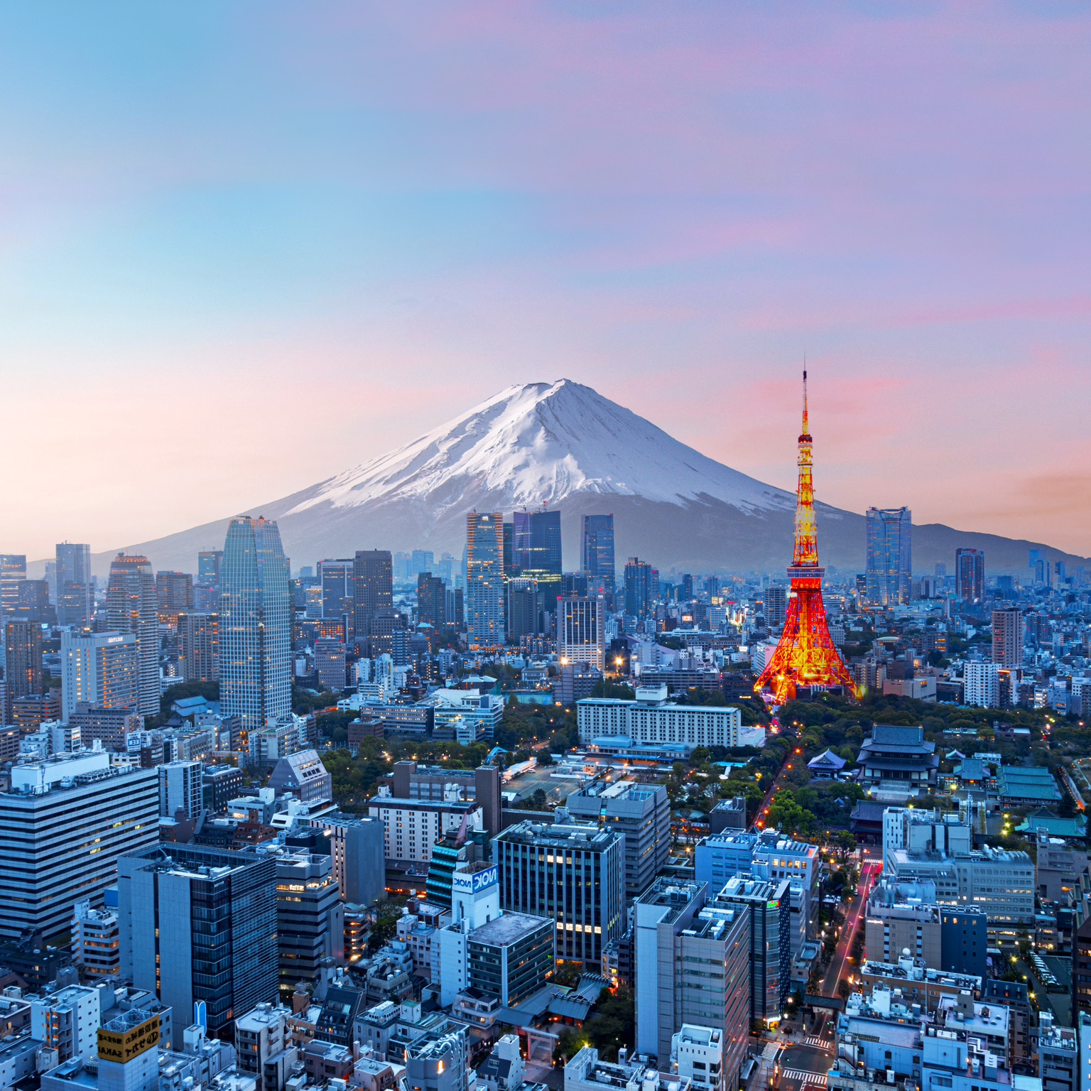 Mt. Fuji and Tokyo skyline at dusk.