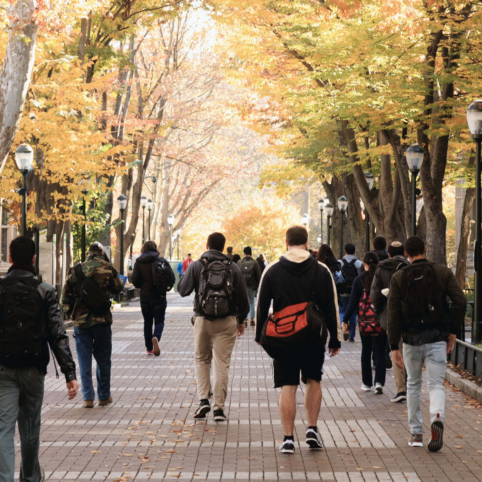 How to transform higher-education institutions for the long term