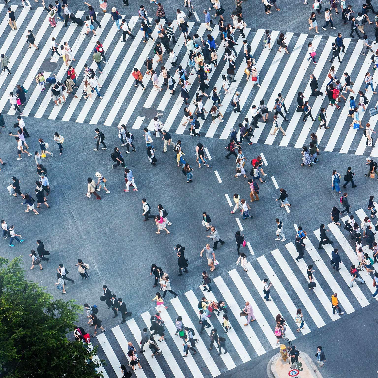 Gov-3_thumbnail_1536x1536_500_Standard