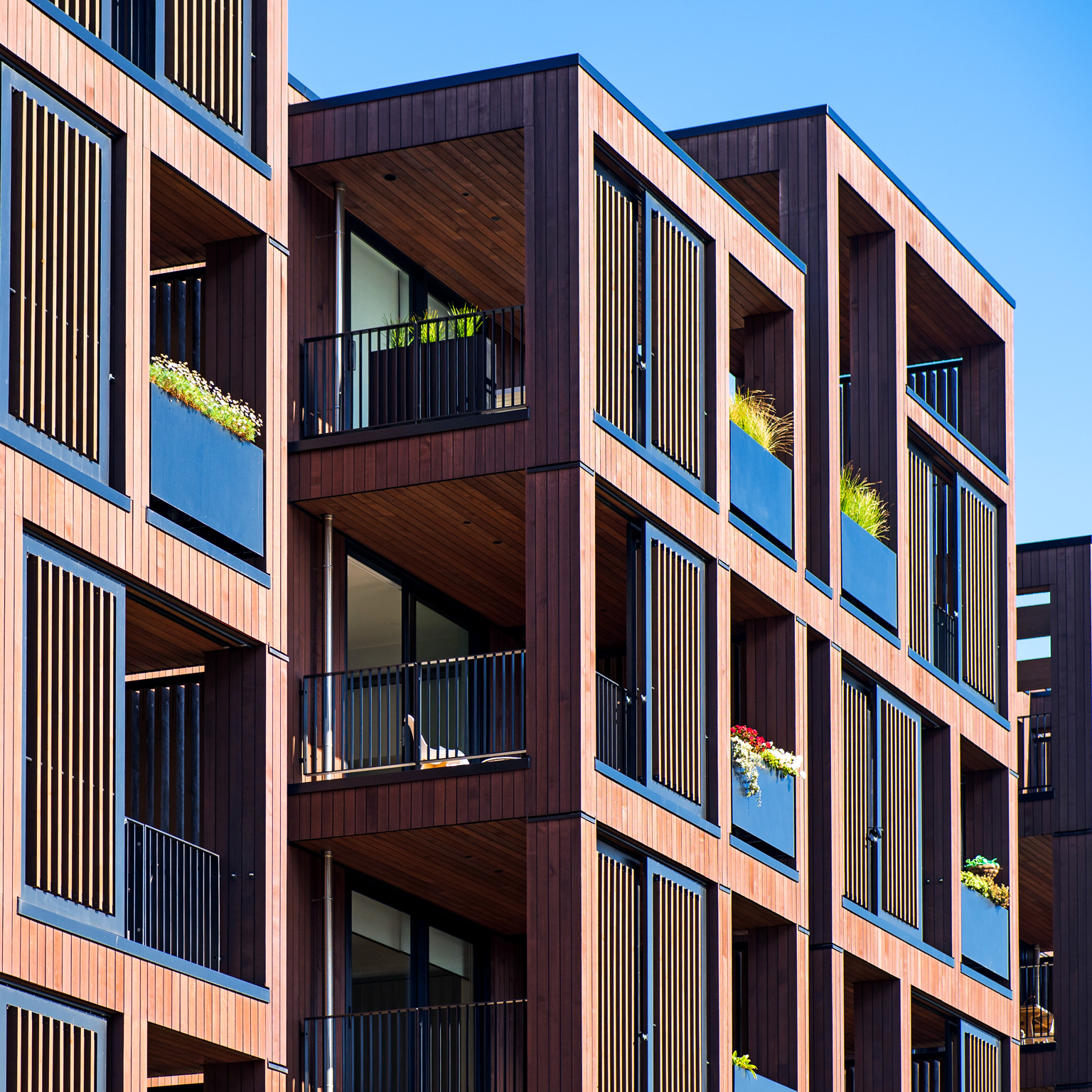 City apartments on a clear day.
