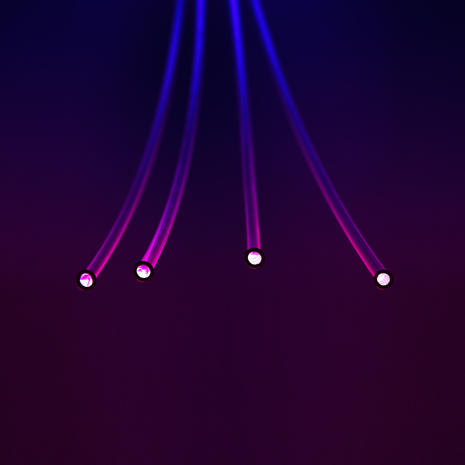 Close-up of fiber optic digital telecommunication cables