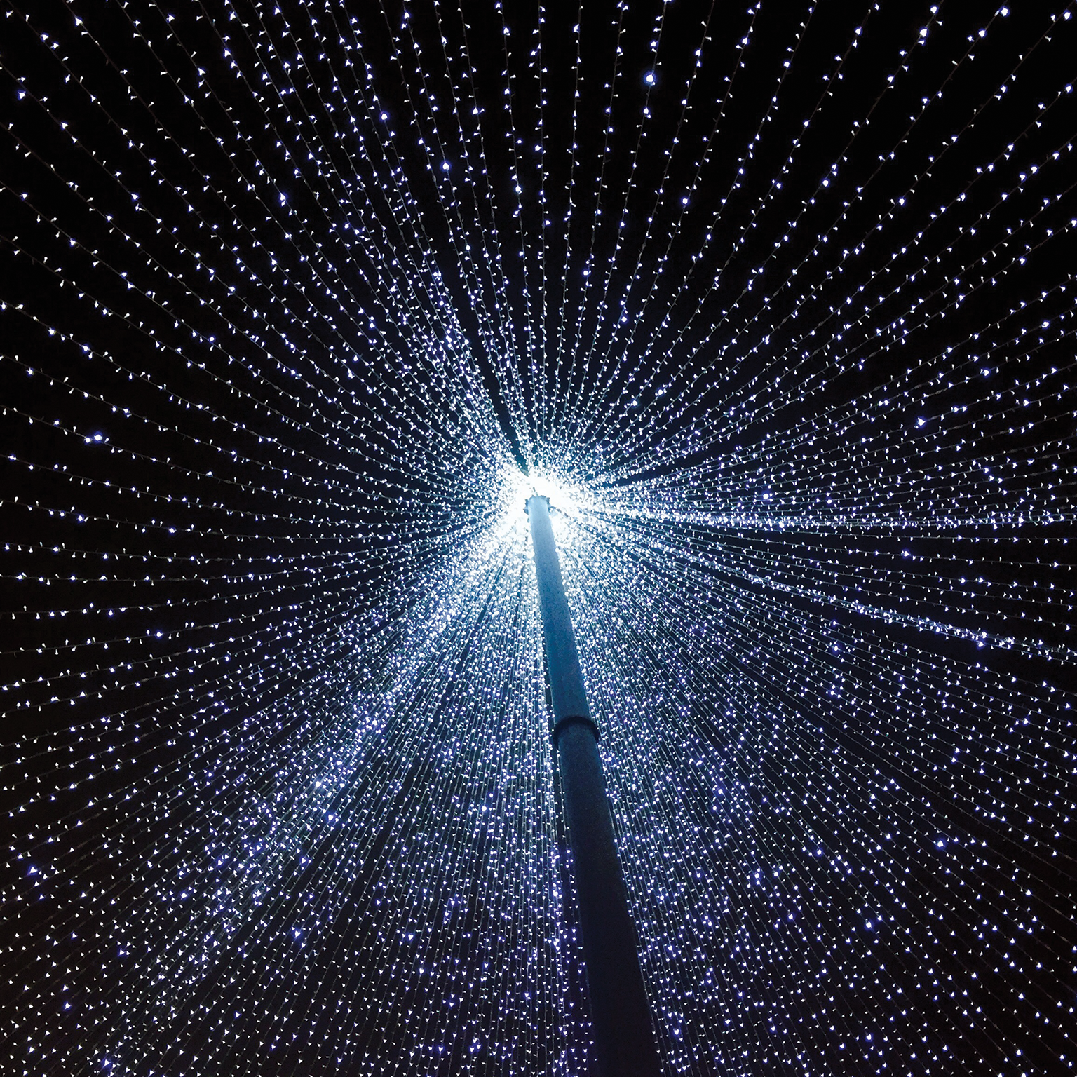 Previsão: o futuro do CX