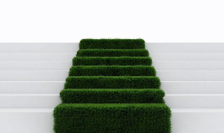 Emissões líquidas – o que é preciso para chegar lá?