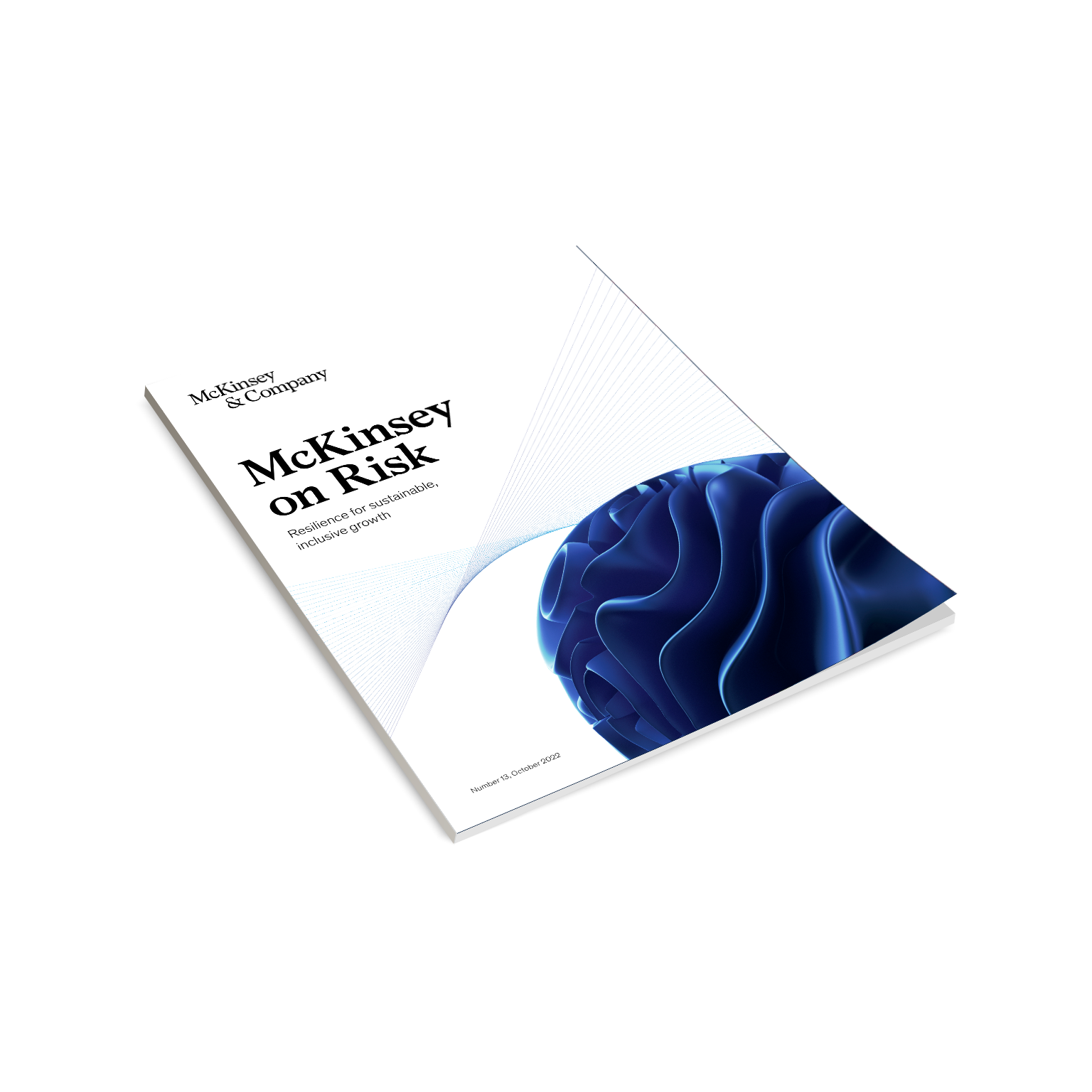 McKinsey on Risk