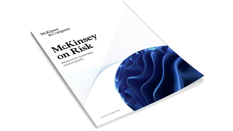 McKinsey on Risk