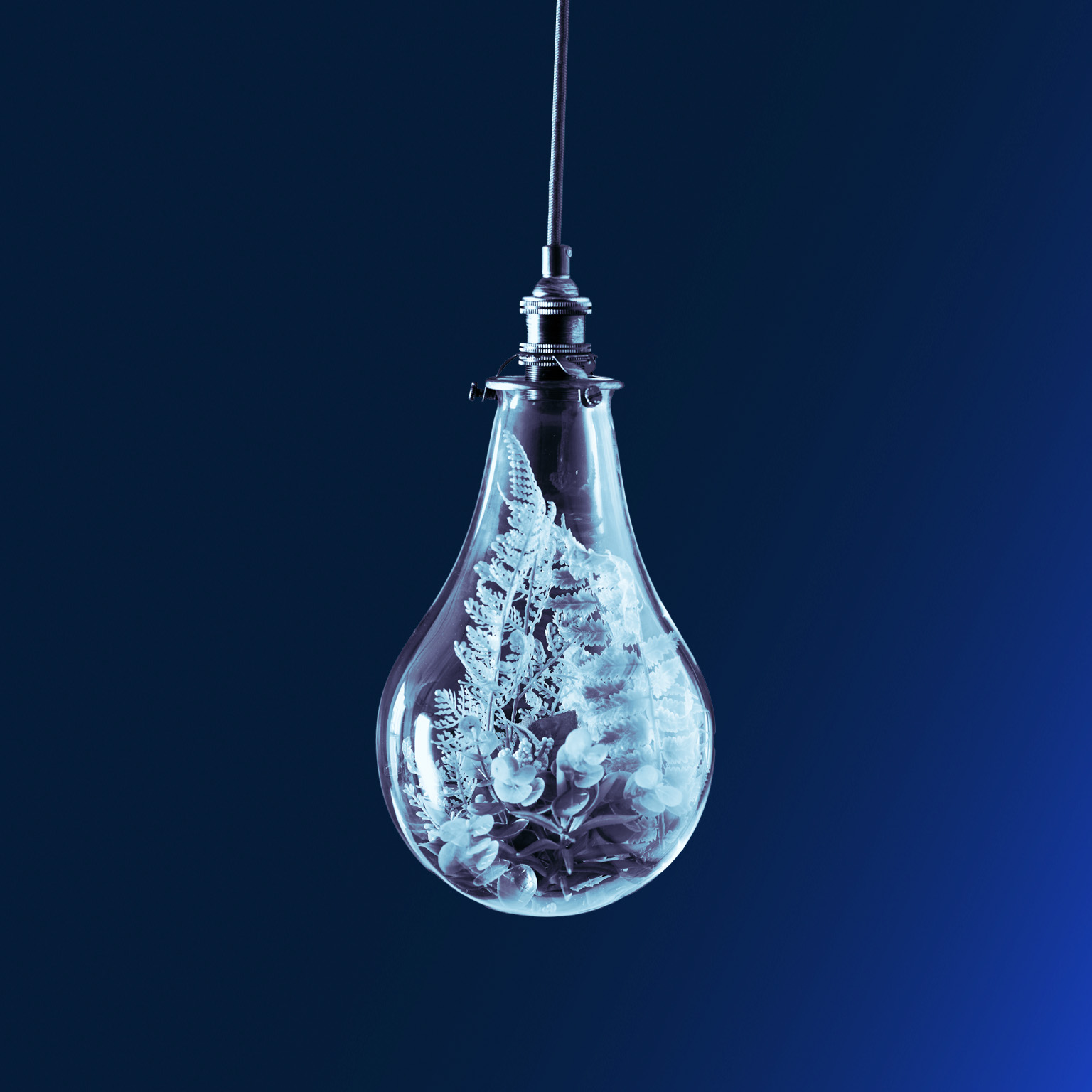 Insights on the net-zero transition